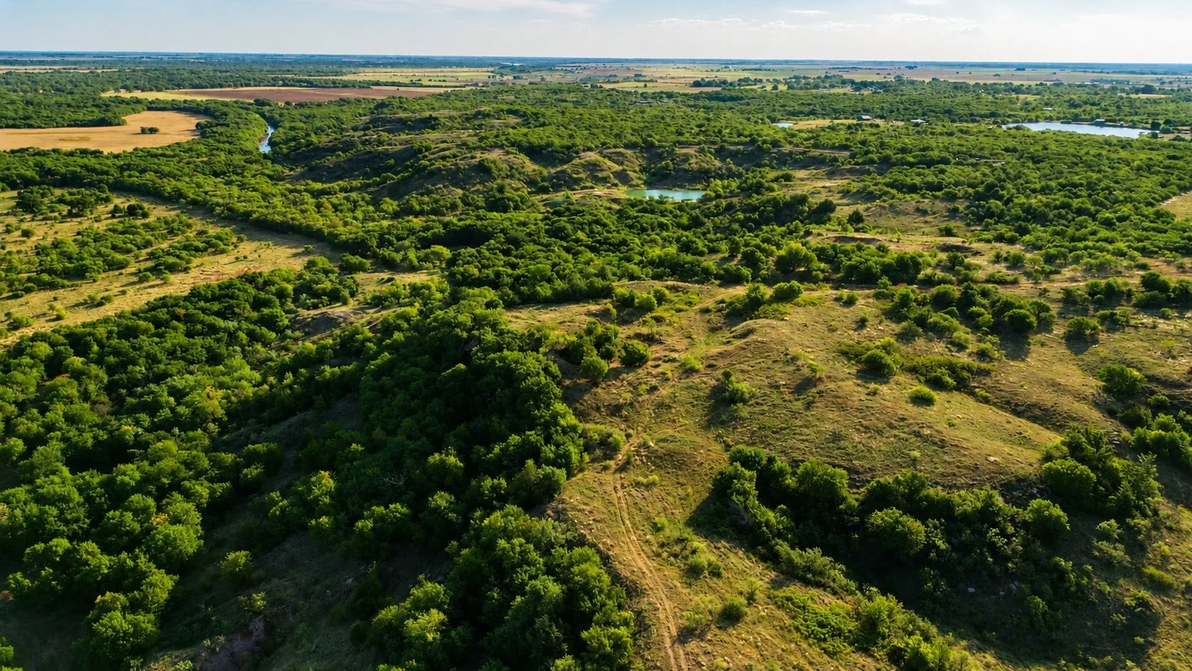 Ranch For Sale in Clay County , 0 Adair Road, Byers, Texas 76357, 0, 0, Garage spaces, 0 Sqft, built in 0, Price $3,500,000, mls#21332134, Real Estate Agent in Byers, Homes For Sale in Clay county, Homes For Sale in Byers, Realtor in Byers Texas, Real Estate Brokerage Independent Realty Texas, Luminita Cordes Realtor