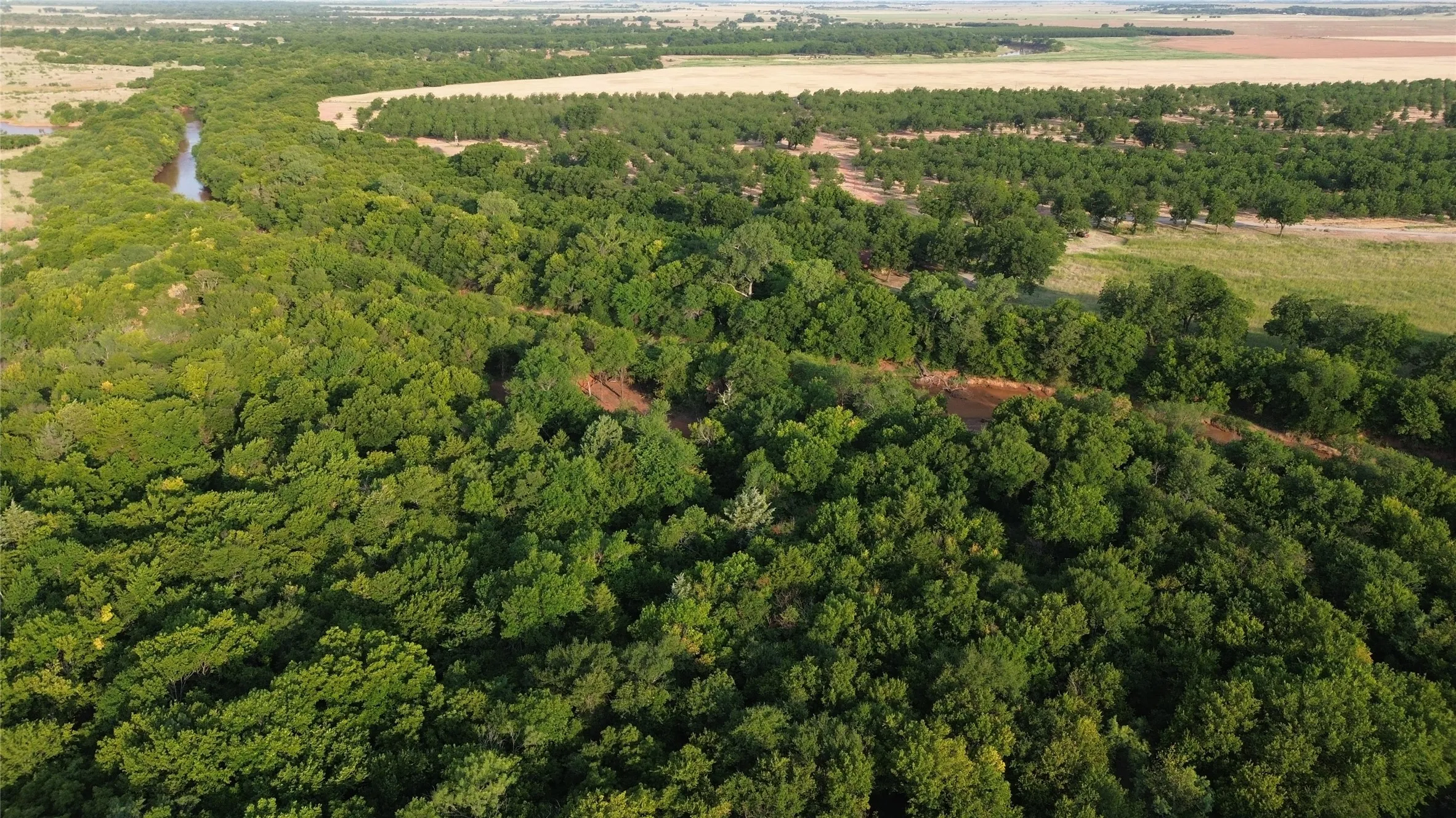 Ranch For Sale in Clay County , 0 Adair Road, Byers, Texas 76357, 0, 0, Garage spaces, 0 Sqft, built in 0, Price $3,500,000, mls#21332134, Real Estate Agent in Byers, Homes For Sale in Clay county, Homes For Sale in Byers, Realtor in Byers Texas, Real Estate Brokerage Independent Realty Texas, Luminita Cordes Realtor