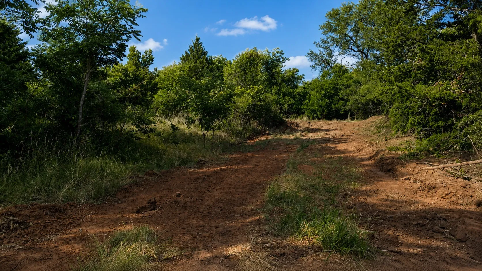 Ranch For Sale in Clay County , 0 Adair Road, Byers, Texas 76357, 0, 0, Garage spaces, 0 Sqft, built in 0, Price $3,500,000, mls#21332134, Real Estate Agent in Byers, Homes For Sale in Clay county, Homes For Sale in Byers, Realtor in Byers Texas, Real Estate Brokerage Independent Realty Texas, Luminita Cordes Realtor