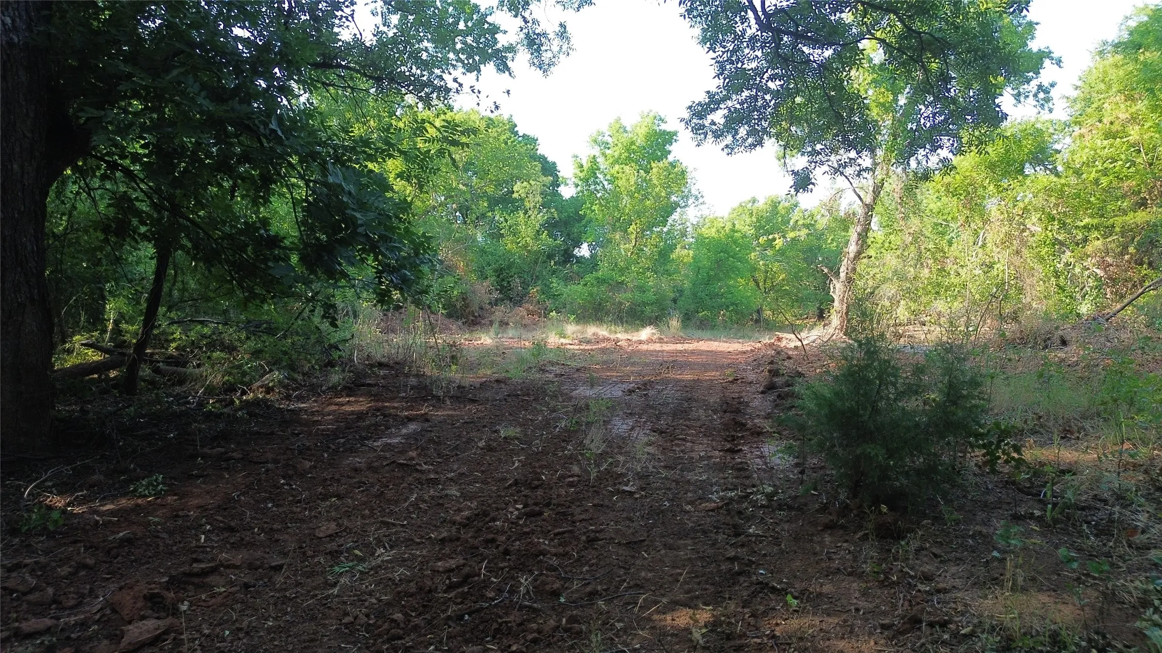 Ranch For Sale in Clay County , 0 Adair Road, Byers, Texas 76357, 0, 0, Garage spaces, 0 Sqft, built in 0, Price $3,500,000, mls#21332134, Real Estate Agent in Byers, Homes For Sale in Clay county, Homes For Sale in Byers, Realtor in Byers Texas, Real Estate Brokerage Independent Realty Texas, Luminita Cordes Realtor