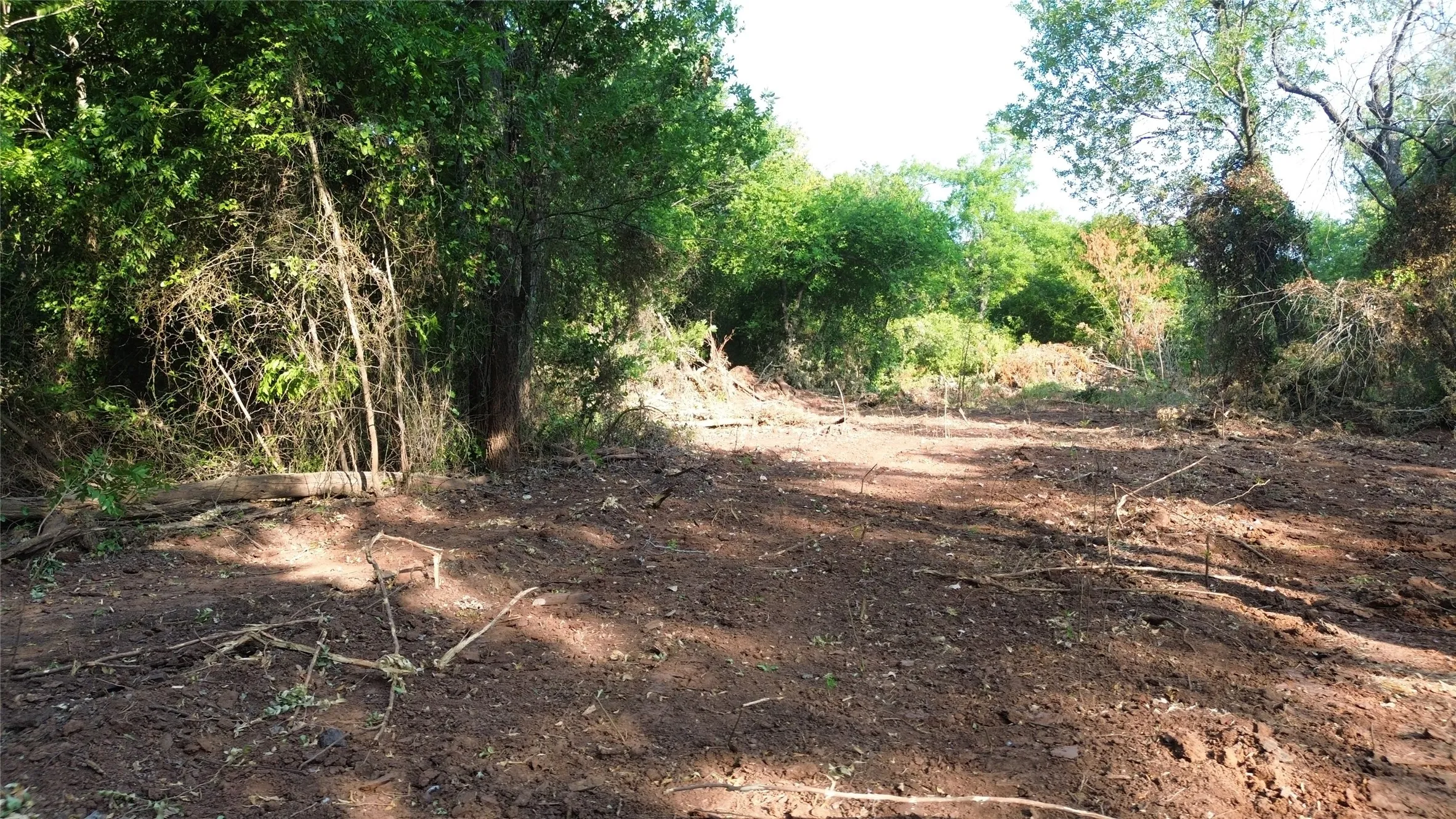 Ranch For Sale in Clay County , 0 Adair Road, Byers, Texas 76357, 0, 0, Garage spaces, 0 Sqft, built in 0, Price $3,500,000, mls#21332134, Real Estate Agent in Byers, Homes For Sale in Clay county, Homes For Sale in Byers, Realtor in Byers Texas, Real Estate Brokerage Independent Realty Texas, Luminita Cordes Realtor