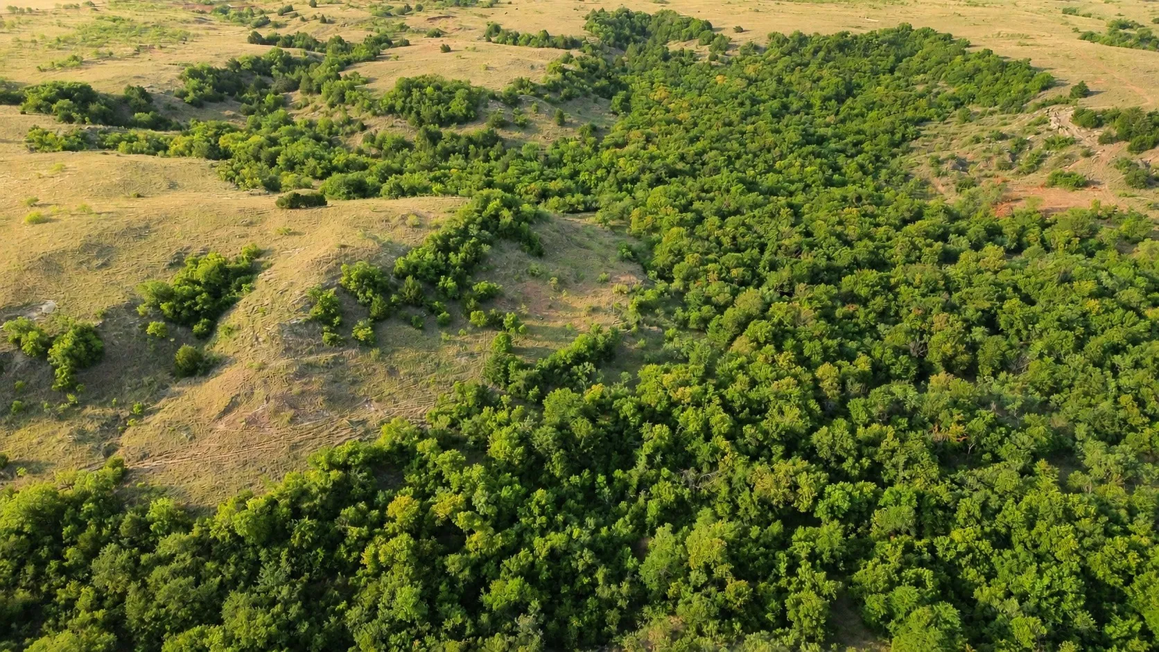 Ranch For Sale in Clay County , 0 Adair Road, Byers, Texas 76357, 0, 0, Garage spaces, 0 Sqft, built in 0, Price $3,500,000, mls#21332134, Real Estate Agent in Byers, Homes For Sale in Clay county, Homes For Sale in Byers, Realtor in Byers Texas, Real Estate Brokerage Independent Realty Texas, Luminita Cordes Realtor