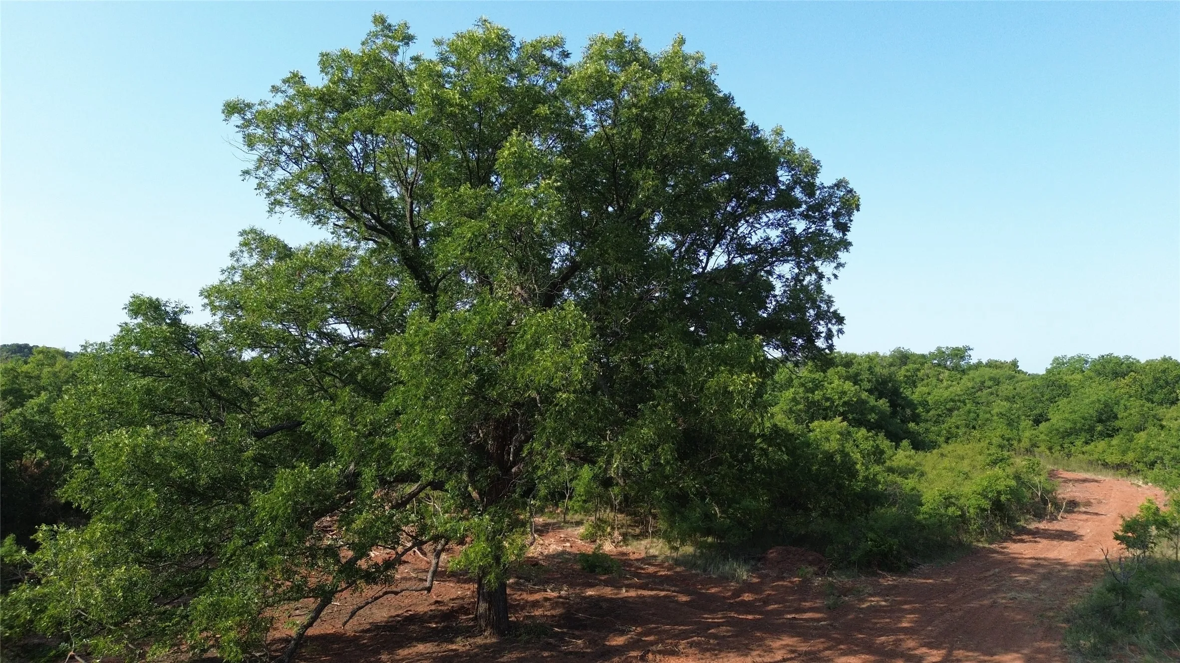 Ranch For Sale in Clay County , 0 Adair Road, Byers, Texas 76357, 0, 0, Garage spaces, 0 Sqft, built in 0, Price $3,500,000, mls#21332134, Real Estate Agent in Byers, Homes For Sale in Clay county, Homes For Sale in Byers, Realtor in Byers Texas, Real Estate Brokerage Independent Realty Texas, Luminita Cordes Realtor