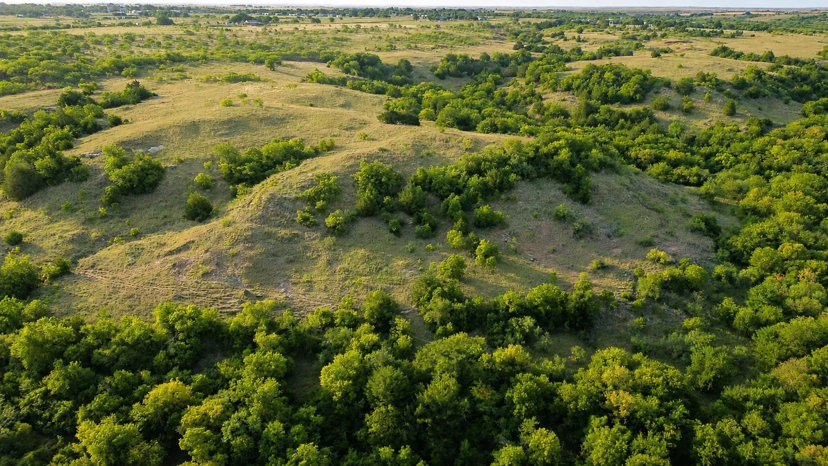 Ranch For Sale in Clay County , 0 Adair Road, Byers, Texas 76357, 0, 0, Garage spaces, 0 Sqft, built in 0, Price $3,500,000, mls#21332134, Real Estate Agent in Byers, Homes For Sale in Clay county, Homes For Sale in Byers, Realtor in Byers Texas, Real Estate Brokerage Independent Realty Texas, Luminita Cordes Realtor