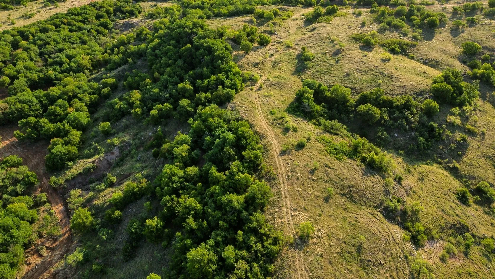 Ranch For Sale in Clay County , 0 Adair Road, Byers, Texas 76357, 0, 0, Garage spaces, 0 Sqft, built in 0, Price $3,500,000, mls#21332134, Real Estate Agent in Byers, Homes For Sale in Clay county, Homes For Sale in Byers, Realtor in Byers Texas, Real Estate Brokerage Independent Realty Texas, Luminita Cordes Realtor