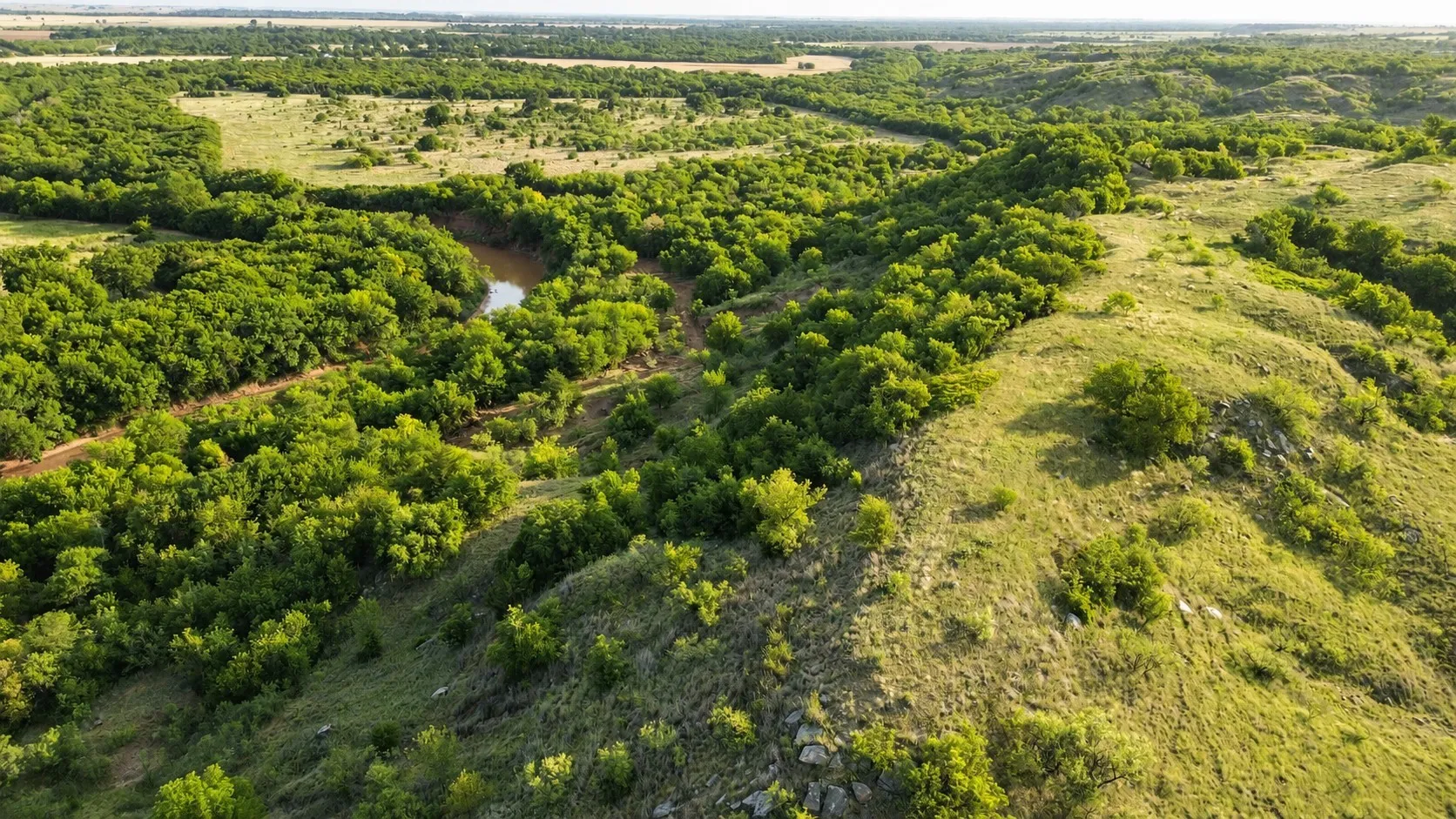 Ranch For Sale in Clay County , 0 Adair Road, Byers, Texas 76357, 0, 0, Garage spaces, 0 Sqft, built in 0, Price $3,500,000, mls#21332134, Real Estate Agent in Byers, Homes For Sale in Clay county, Homes For Sale in Byers, Realtor in Byers Texas, Real Estate Brokerage Independent Realty Texas, Luminita Cordes Realtor