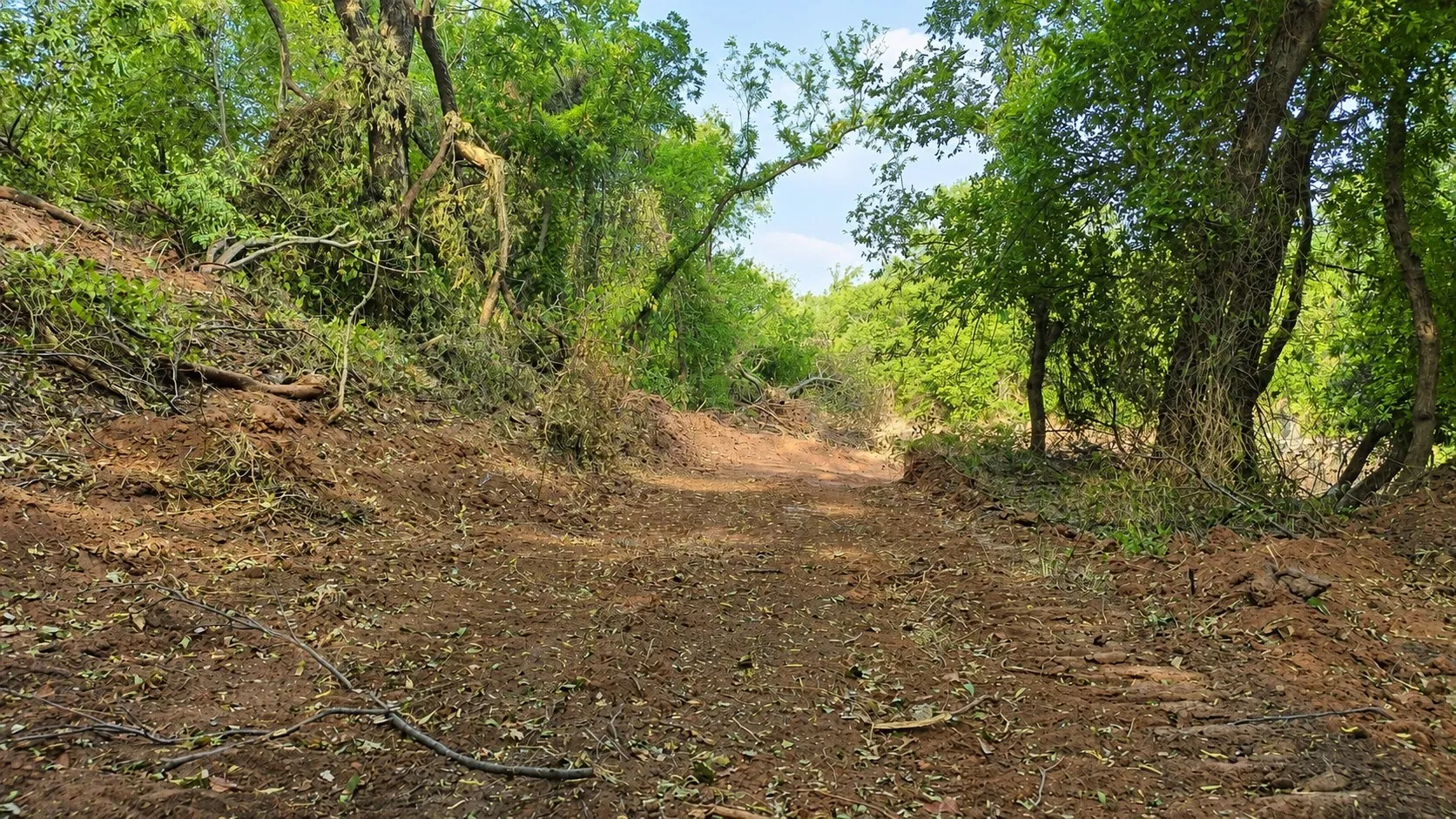 Ranch For Sale in Clay County , 0 Adair Road, Byers, Texas 76357, 0, 0, Garage spaces, 0 Sqft, built in 0, Price $3,500,000, mls#21332134, Real Estate Agent in Byers, Homes For Sale in Clay county, Homes For Sale in Byers, Realtor in Byers Texas, Real Estate Brokerage Independent Realty Texas, Luminita Cordes Realtor