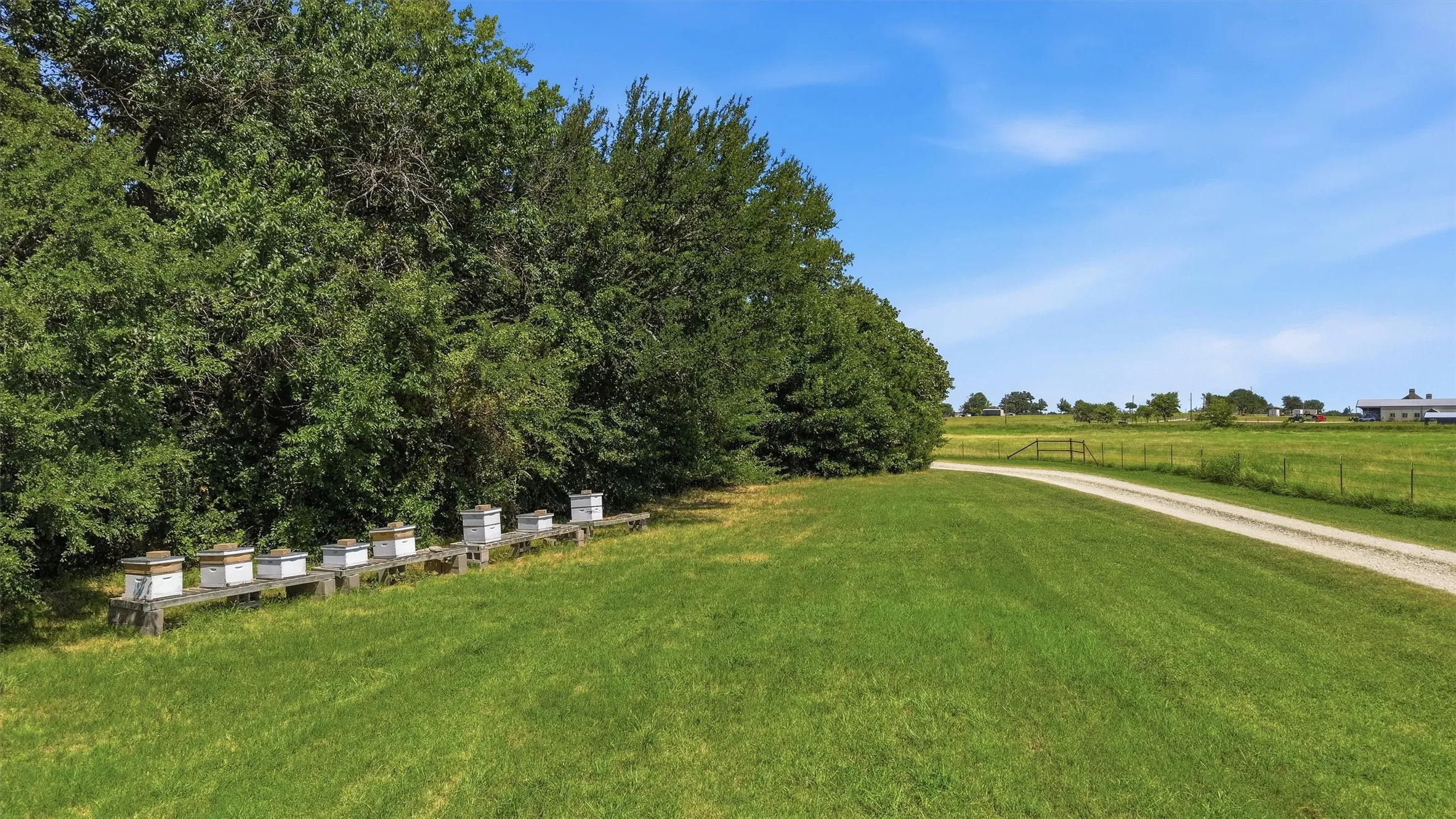 Single Family Residence For Sale in Cooke County , 1226 County Road 243, Collinsville, Texas 76233, 5 Bedroom, 3 Bathroom, 2 Garage spaces, 2,922 Sqft, built in 2000, mls#21332986, Real Estate Agent in Collinsville, Homes For Sale in Cooke county, Homes For Sale in Collinsville, Realtor in Collinsville Texas, Real Estate Brokerage Independent Realty Texas, Luminita Cordes Realtor