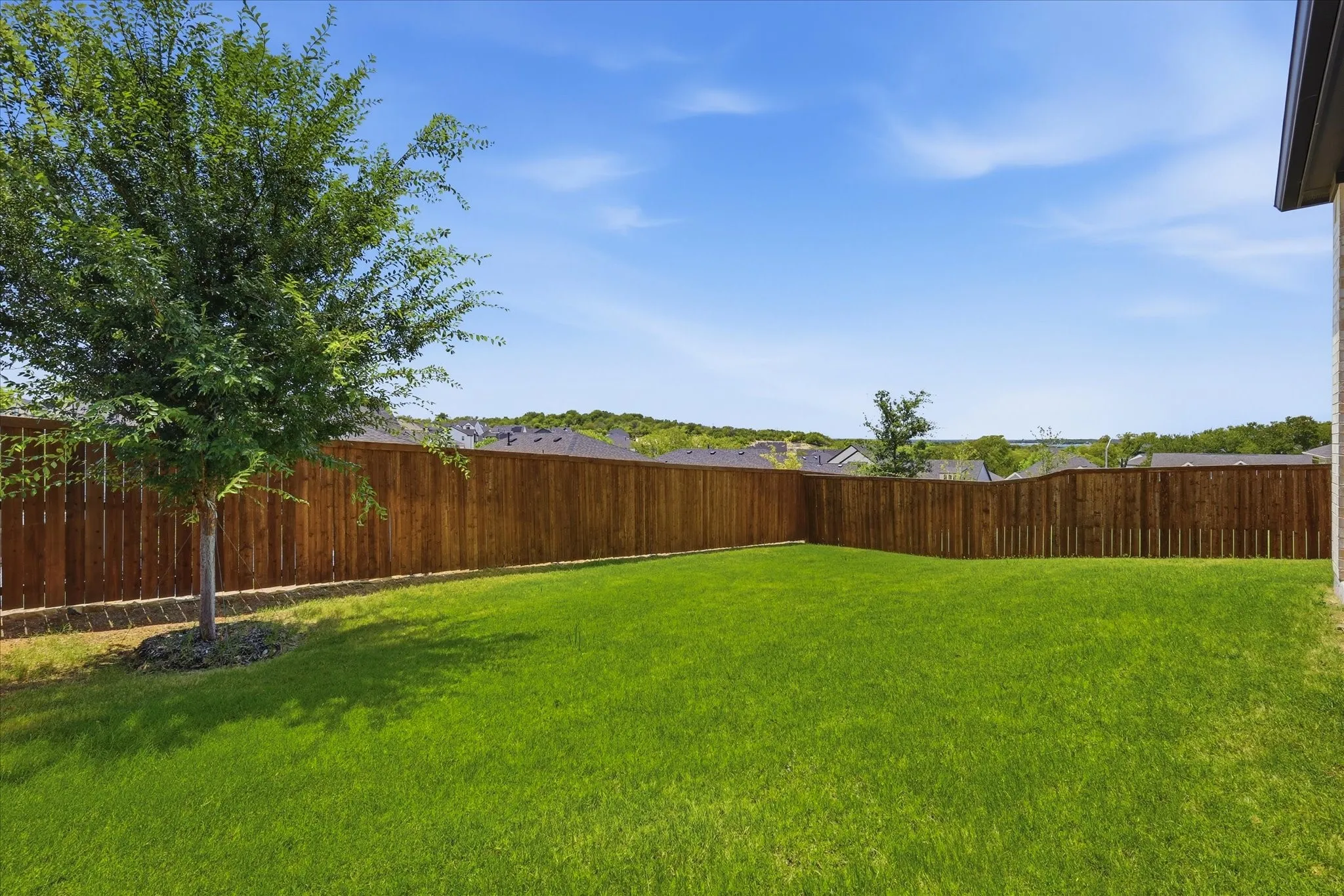 Expansive backyard featuring a lush green lawn, full wood privacy fencing, and a mature tree.