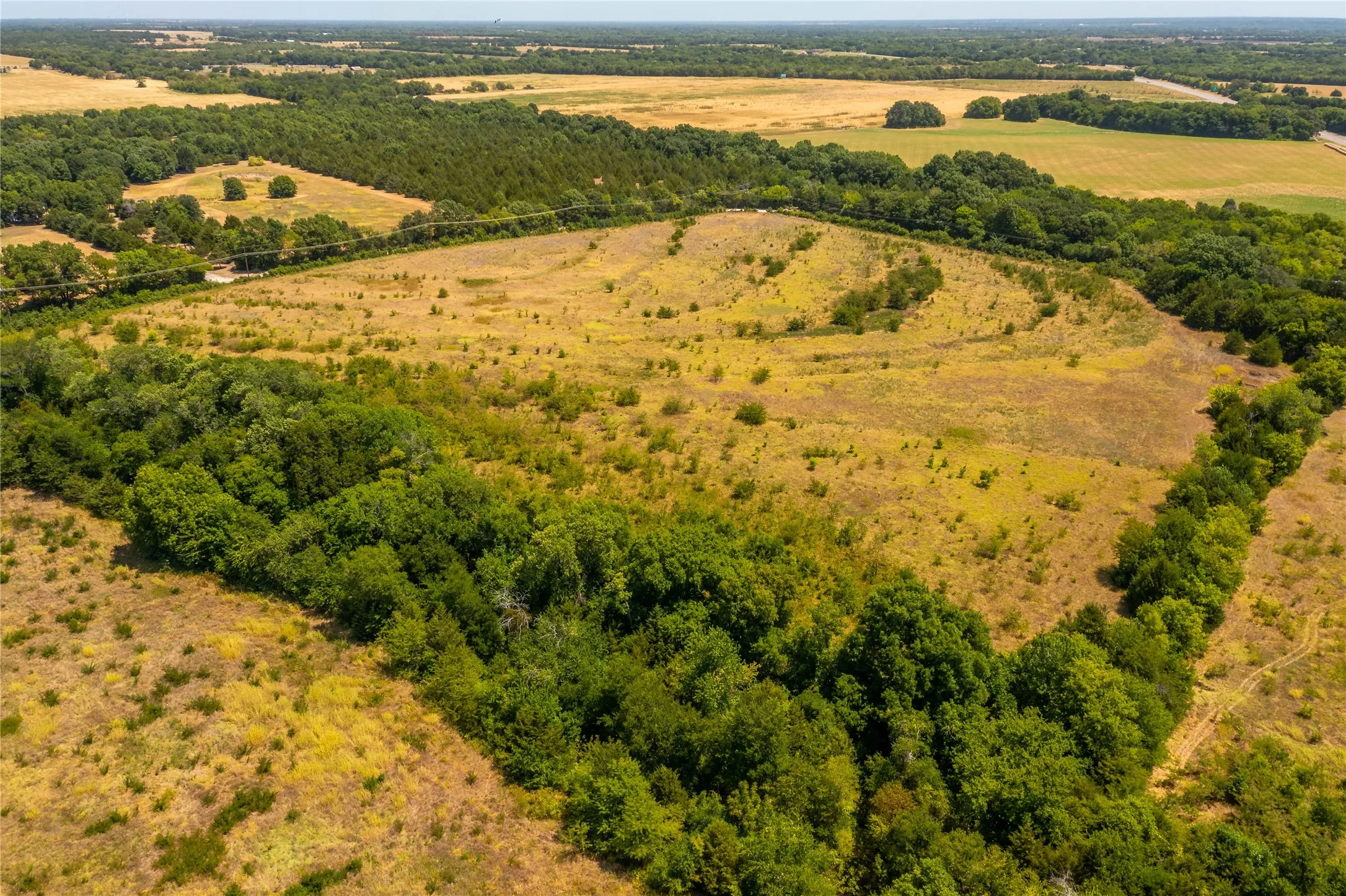 Unimproved Land For Sale in Fannin County , TBD 23 +/- Tract 2 County Road 4526, Randolph, Texas 75475, 0, 0, Garage spaces, 0 Sqft, built in 0, Price $783,420, mls#21333150, Real Estate Agent in Randolph, Homes For Sale in Fannin county, Homes For Sale in Randolph, Realtor in Randolph Texas, Real Estate Brokerage Independent Realty Texas, Luminita Cordes Realtor