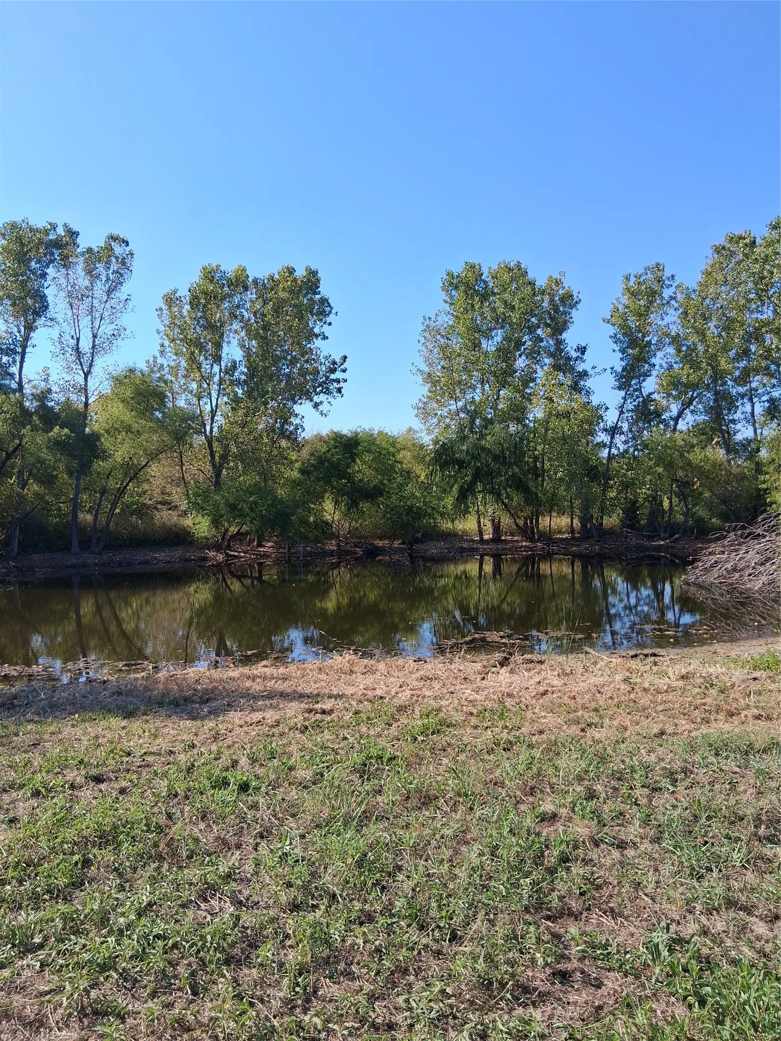Improved Land For Sale in Grayson County , TBD Hagerman, Pottsboro, Texas 75076, 0, 0, Garage spaces, 0 Sqft, built in 0, mls#21333179, Real Estate Agent in Pottsboro, Homes For Sale in Grayson county, Homes For Sale in Pottsboro, Realtor in Pottsboro Texas, Real Estate Brokerage Independent Realty Texas, Luminita Cordes Realtor