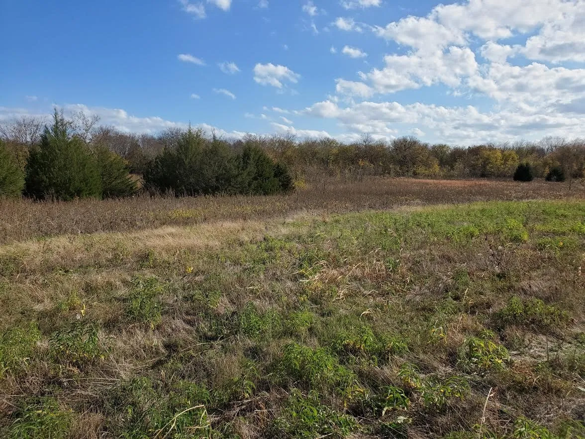 Improved Land For Sale in Grayson County , TBD Hagerman, Pottsboro, Texas 75076, 0, 0, Garage spaces, 0 Sqft, built in 0, mls#21333179, Real Estate Agent in Pottsboro, Homes For Sale in Grayson county, Homes For Sale in Pottsboro, Realtor in Pottsboro Texas, Real Estate Brokerage Independent Realty Texas, Luminita Cordes Realtor