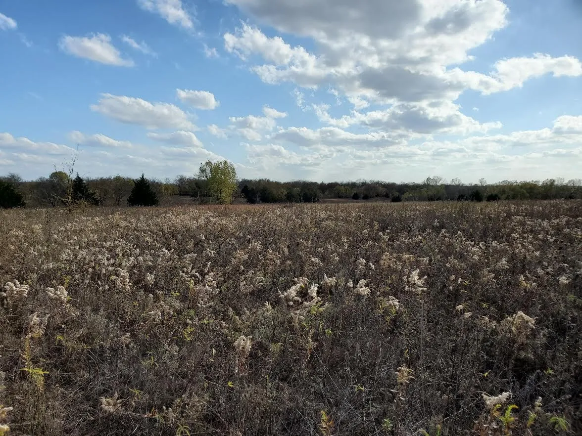 Improved Land For Sale in Grayson County , TBD Hagerman, Pottsboro, Texas 75076, 0, 0, Garage spaces, 0 Sqft, built in 0, mls#21333179, Real Estate Agent in Pottsboro, Homes For Sale in Grayson county, Homes For Sale in Pottsboro, Realtor in Pottsboro Texas, Real Estate Brokerage Independent Realty Texas, Luminita Cordes Realtor