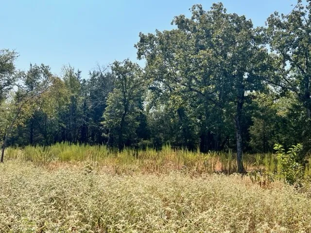 Unimproved Land For Sale in Freestone County , Lot 19 Fm 489 E, Fairfield, Texas 75840, 0, 0, Garage spaces, 0 Sqft, built in 0, Price $182,500, mls#21333184, Real Estate Agent in Fairfield, Homes For Sale in Freestone county, Homes For Sale in Fairfield, Realtor in Fairfield Texas, Real Estate Brokerage Independent Realty Texas, Luminita Cordes Realtor