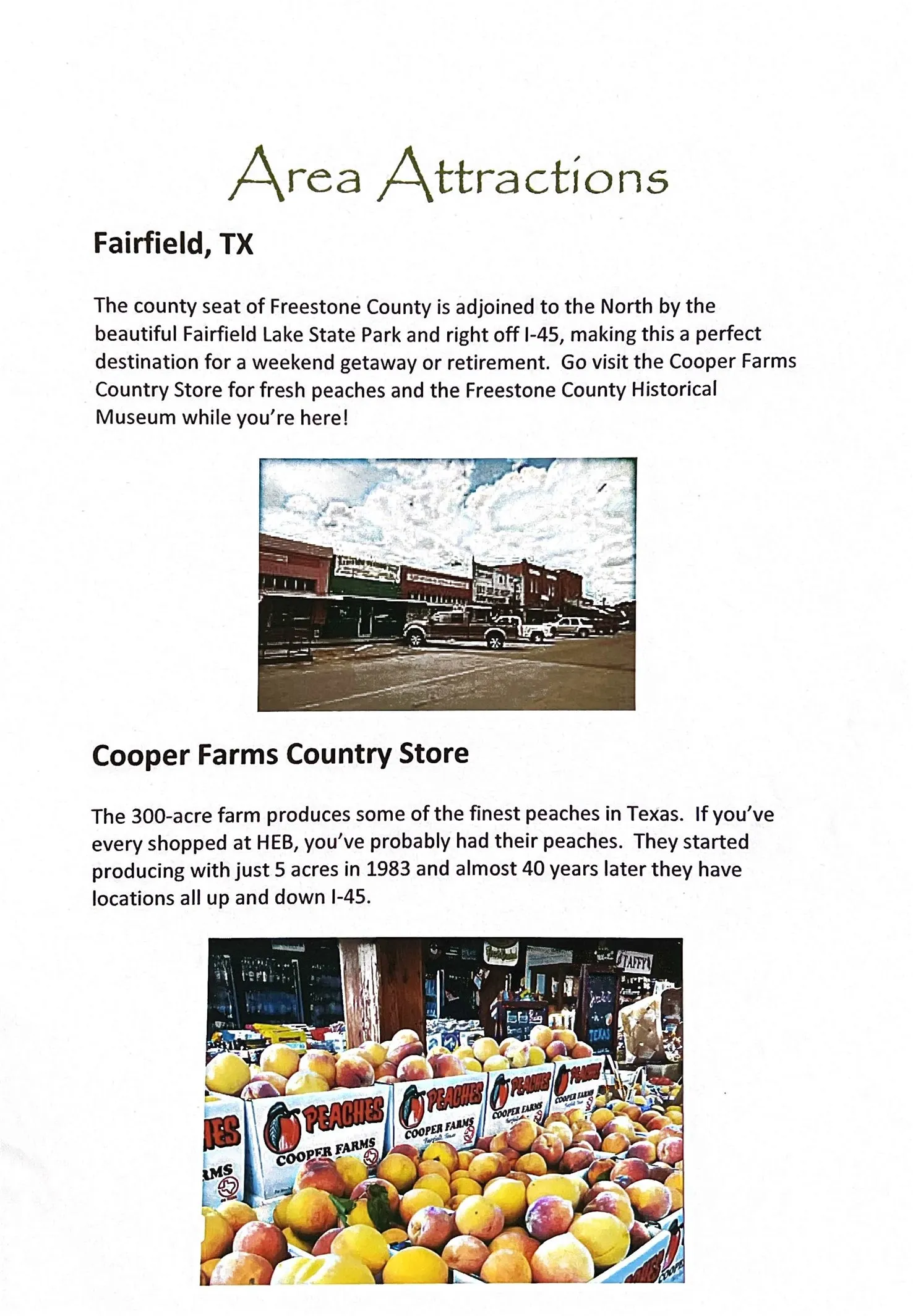 Unimproved Land For Sale in Freestone County , Lot 19 Fm 489 E, Fairfield, Texas 75840, 0, 0, Garage spaces, 0 Sqft, built in 0, Price $182,500, mls#21333184, Real Estate Agent in Fairfield, Homes For Sale in Freestone county, Homes For Sale in Fairfield, Realtor in Fairfield Texas, Real Estate Brokerage Independent Realty Texas, Luminita Cordes Realtor