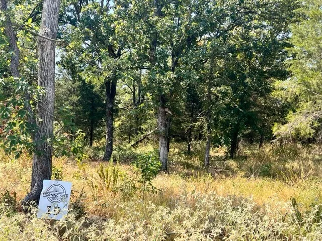 Unimproved Land For Sale in Freestone County , Lot 19 Fm 489 E, Fairfield, Texas 75840, 0, 0, Garage spaces, 0 Sqft, built in 0, Price $182,500, mls#21333184, Real Estate Agent in Fairfield, Homes For Sale in Freestone county, Homes For Sale in Fairfield, Realtor in Fairfield Texas, Real Estate Brokerage Independent Realty Texas, Luminita Cordes Realtor