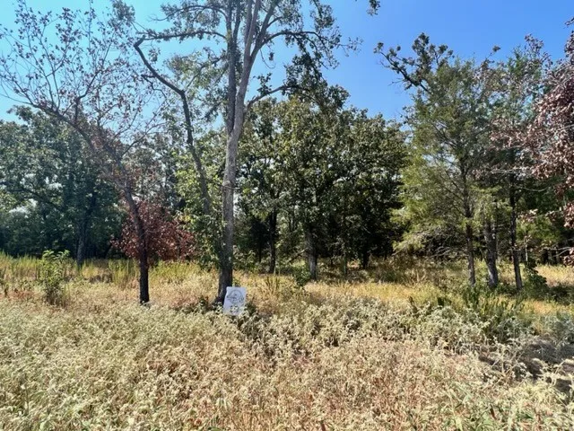 Unimproved Land For Sale in Freestone County , Lot 19 Fm 489 E, Fairfield, Texas 75840, 0, 0, Garage spaces, 0 Sqft, built in 0, Price $182,500, mls#21333184, Real Estate Agent in Fairfield, Homes For Sale in Freestone county, Homes For Sale in Fairfield, Realtor in Fairfield Texas, Real Estate Brokerage Independent Realty Texas, Luminita Cordes Realtor