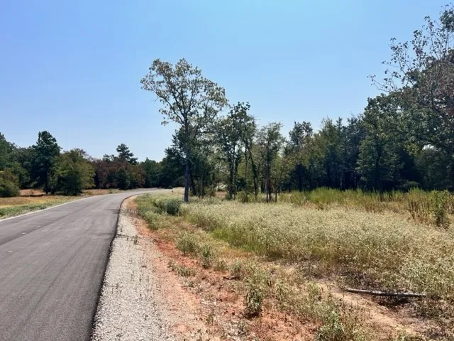 Unimproved Land For Sale in Freestone County , Lot 19 Fm 489 E, Fairfield, Texas 75840, 0, 0, Garage spaces, 0 Sqft, built in 0, Price $182,500, mls#21333184, Real Estate Agent in Fairfield, Homes For Sale in Freestone county, Homes For Sale in Fairfield, Realtor in Fairfield Texas, Real Estate Brokerage Independent Realty Texas, Luminita Cordes Realtor