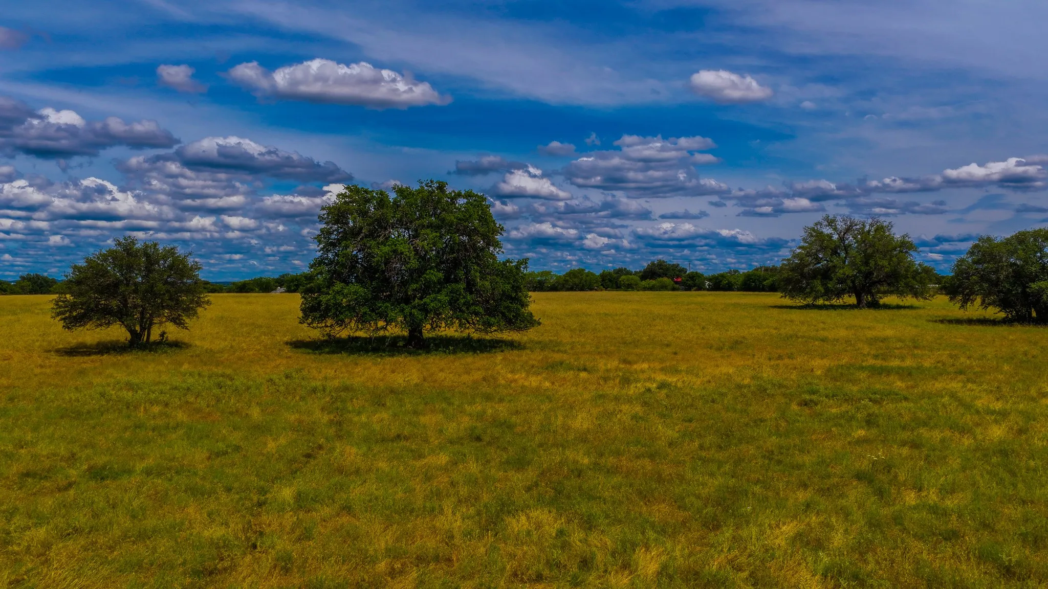 Front Pasture