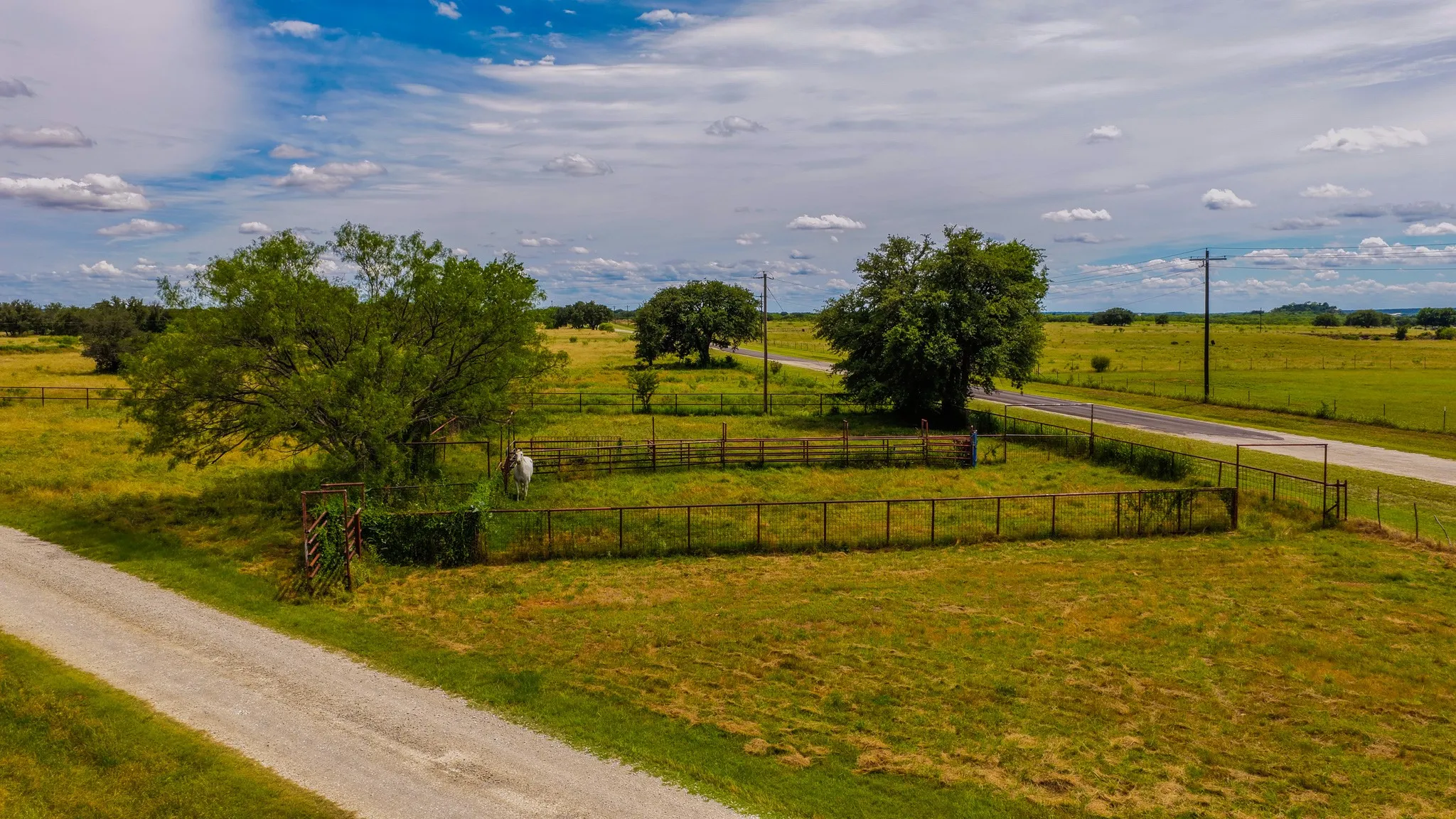 Working Cattle Pens
