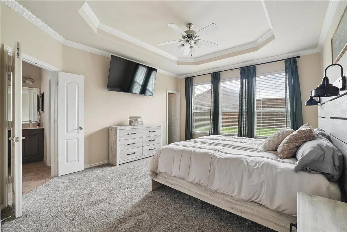 Tray ceiling with a ceiling fan, three windows with blinds and sheer drapery, plush carpet flooring, and a door leading to a bathroom featuring a vanity with a sink