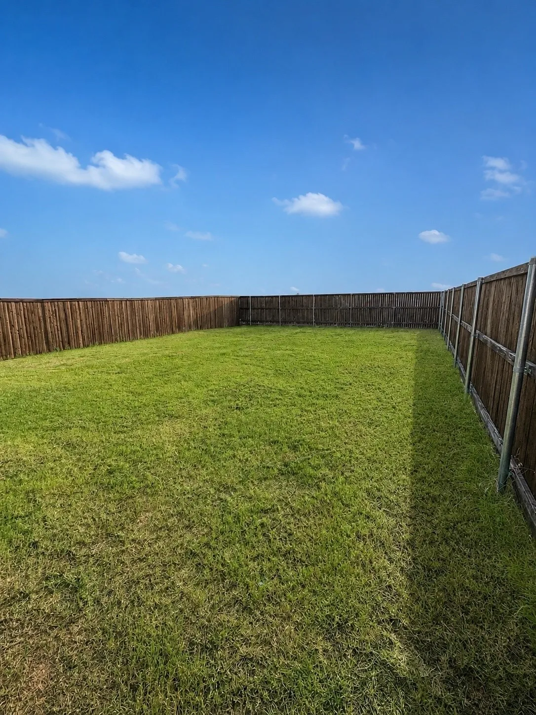 Expansive backyard featuring a lush green lawn and new wood privacy fencing