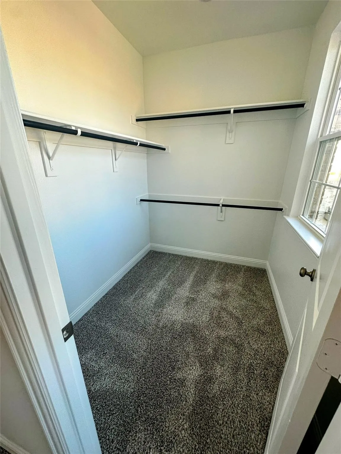 Walk-in closet featuring plush carpet, upper and lower shelving, hanging rods, and an exterior window