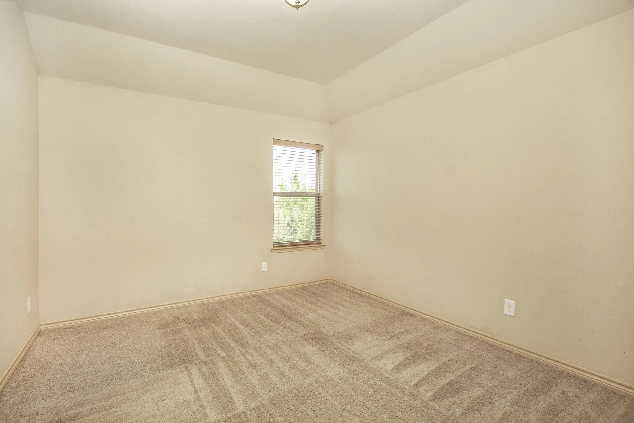 Tray ceiling, single window with blinds, neutral-toned walls, and carpet flooring