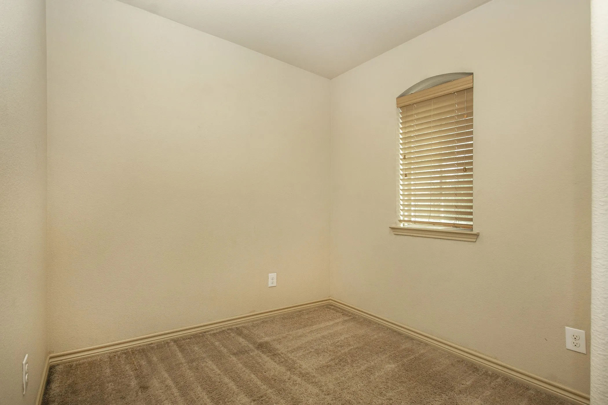 Office steps up to enter from Primary Bedroom with Arched window with blinds, neutral wall paint, and plush carpeting