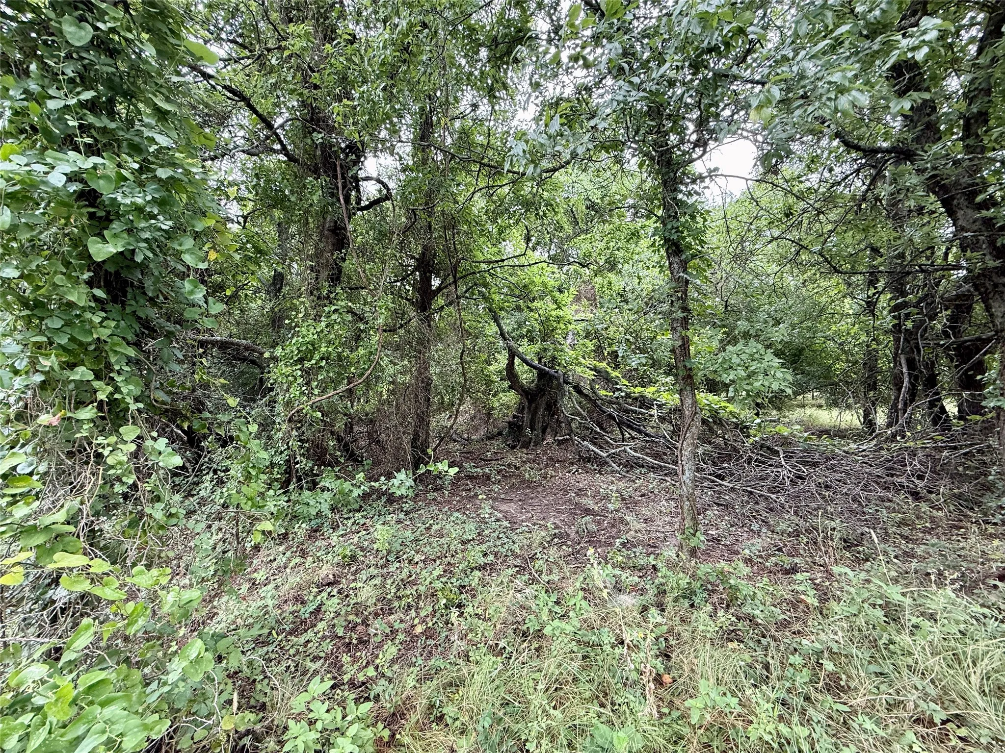 Unimproved Land For Sale in Erath County , TBD Farm Road 1702, Dublin, Texas 76446, 0, 0, Garage spaces, 0 Sqft, built in 2023, Price $799,000, mls#21333632, Real Estate Agent in Dublin, Homes For Sale in Erath county, Homes For Sale in Dublin, Realtor in Dublin Texas, Real Estate Brokerage Independent Realty Texas, Luminita Cordes Realtor