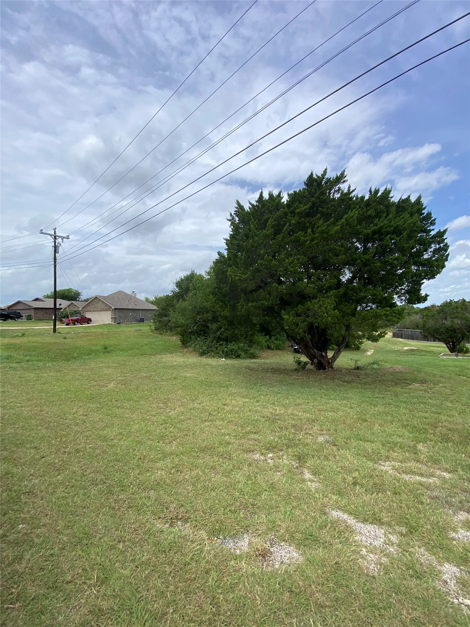 Expansive land parcel featuring a mature tree, natural ground cover, and a clear sky backdrop