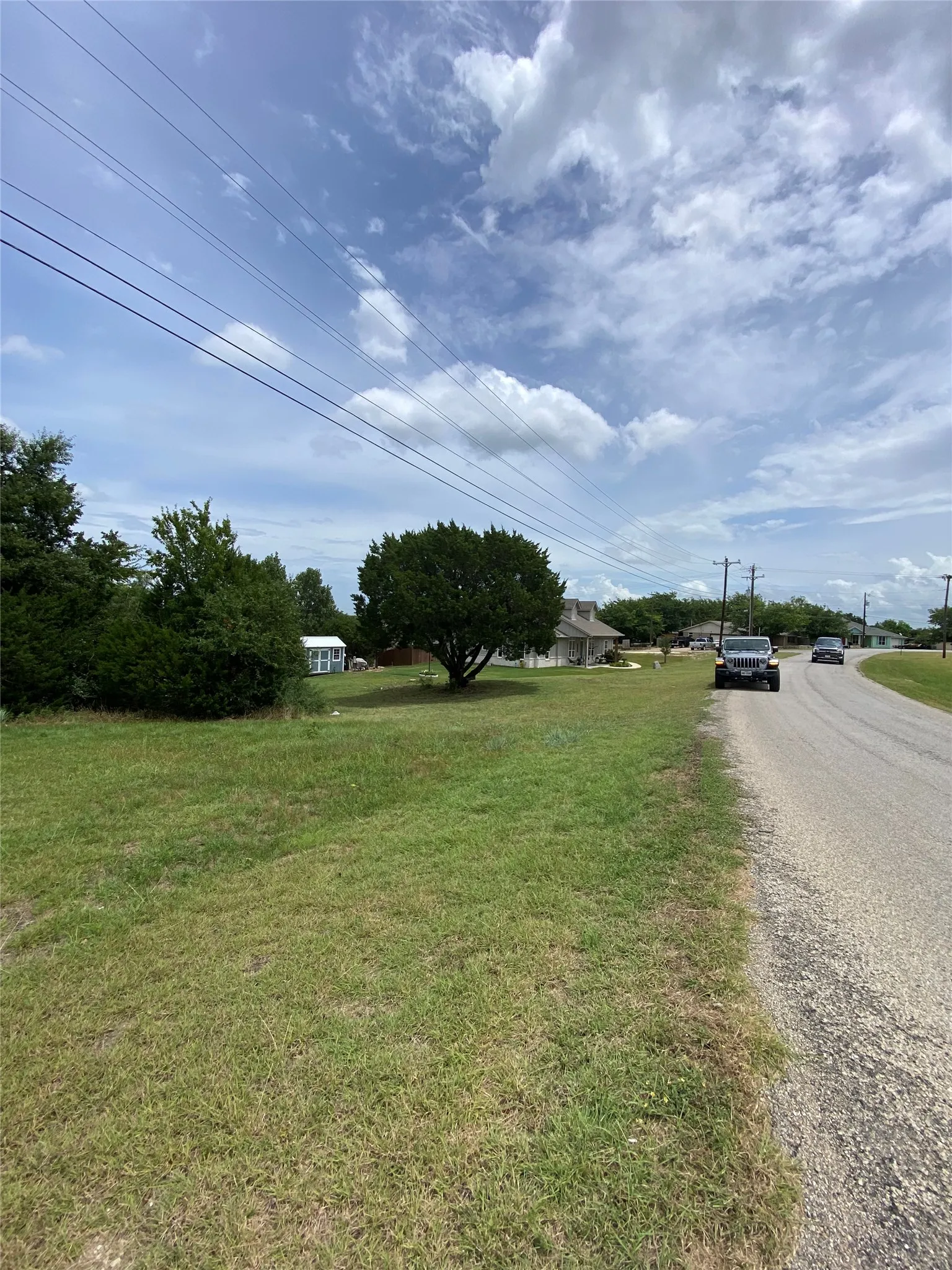 Expansive lot featuring a large mature tree, a gravel road, and open green space