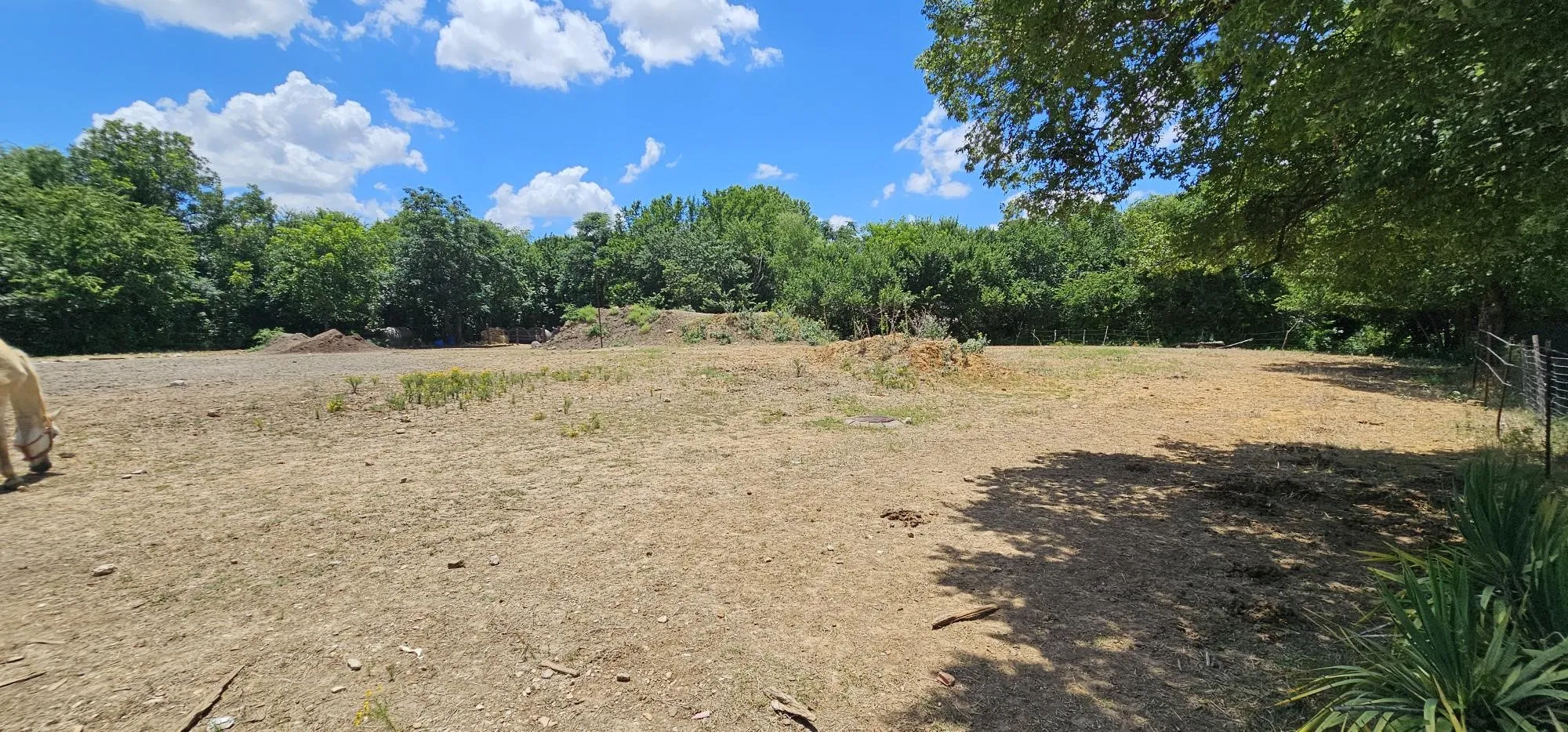 Warehouse For Sale in Tarrant County , 2001 Solona Street, Haltom City, Texas 76117, 0, 0, Garage spaces, 0 Sqft, built in 0, mls#21333686, Real Estate Agent in Haltom City, Homes For Sale in Tarrant county, Homes For Sale in Haltom City, Realtor in Haltom City Texas, Real Estate Brokerage Independent Realty Texas, Luminita Cordes Realtor