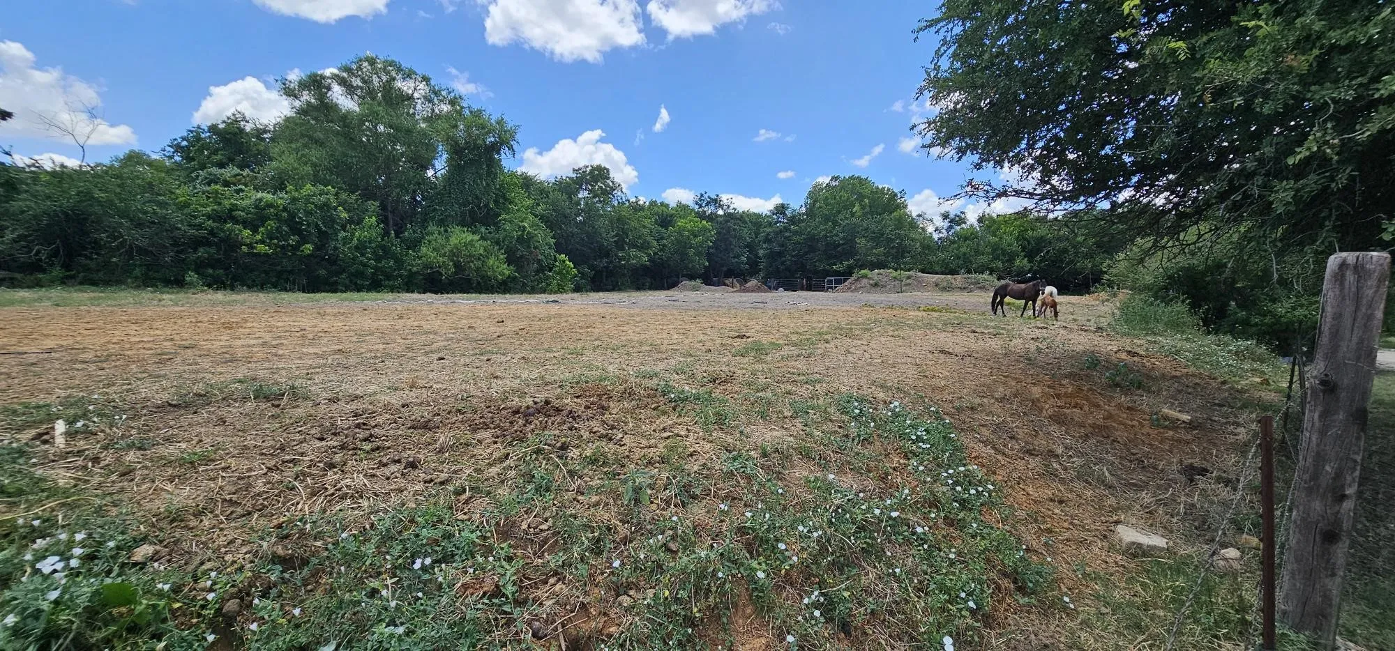 Warehouse For Sale in Tarrant County , 2001 Solona Street, Haltom City, Texas 76117, 0, 0, Garage spaces, 0 Sqft, built in 0, mls#21333686, Real Estate Agent in Haltom City, Homes For Sale in Tarrant county, Homes For Sale in Haltom City, Realtor in Haltom City Texas, Real Estate Brokerage Independent Realty Texas, Luminita Cordes Realtor