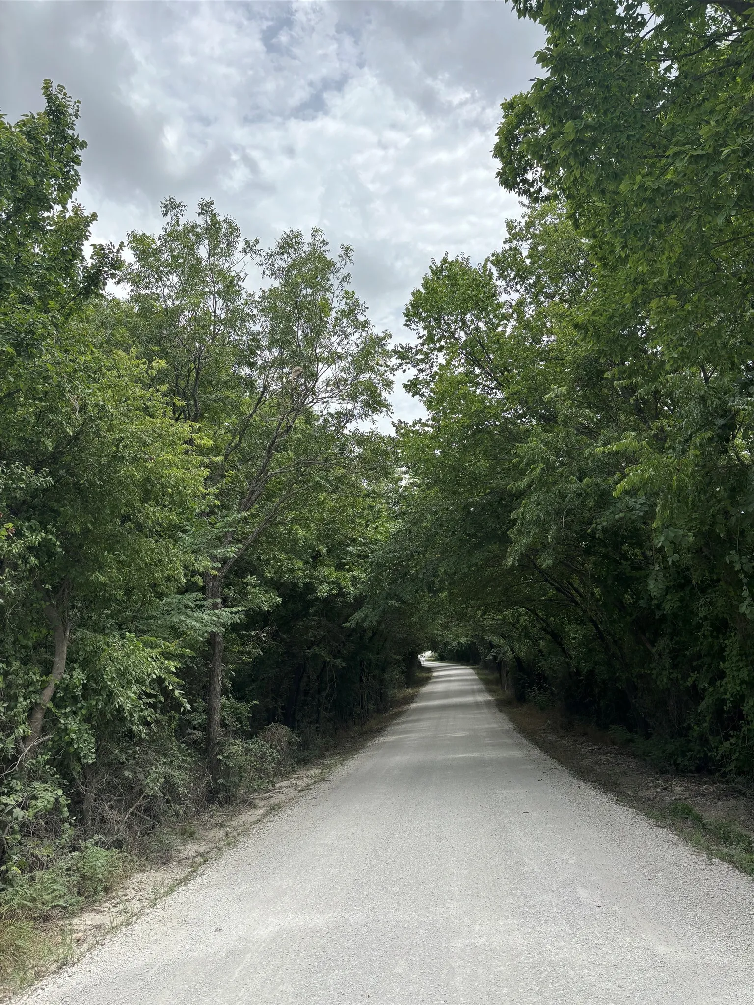 Unimproved Land For Sale in Cooke County , 23.5 ac TBD County Road 440, Muenster, Texas 76252, 0, 0, Garage spaces, 0 Sqft, built in 0, Price $446,500, mls#21333626, Real Estate Agent in Muenster, Homes For Sale in Cooke county, Homes For Sale in Muenster, Realtor in Muenster Texas, Real Estate Brokerage Independent Realty Texas, Luminita Cordes Realtor