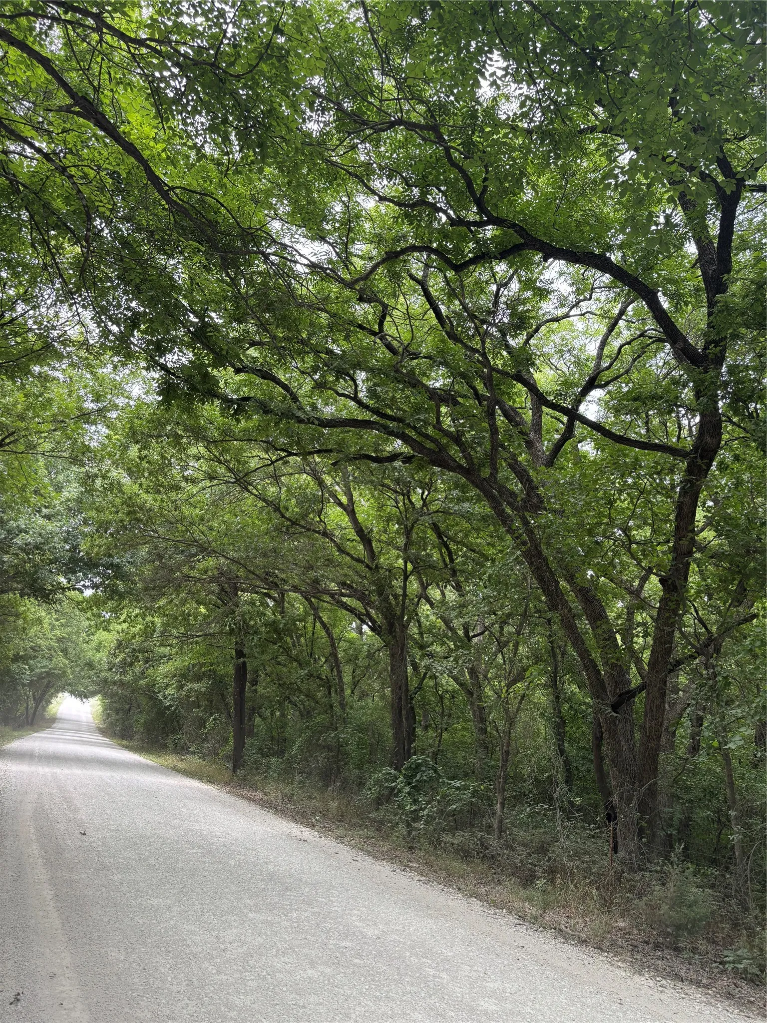 Unimproved Land For Sale in Cooke County , 23.5 ac TBD County Road 440, Muenster, Texas 76252, 0, 0, Garage spaces, 0 Sqft, built in 0, Price $446,500, mls#21333626, Real Estate Agent in Muenster, Homes For Sale in Cooke county, Homes For Sale in Muenster, Realtor in Muenster Texas, Real Estate Brokerage Independent Realty Texas, Luminita Cordes Realtor