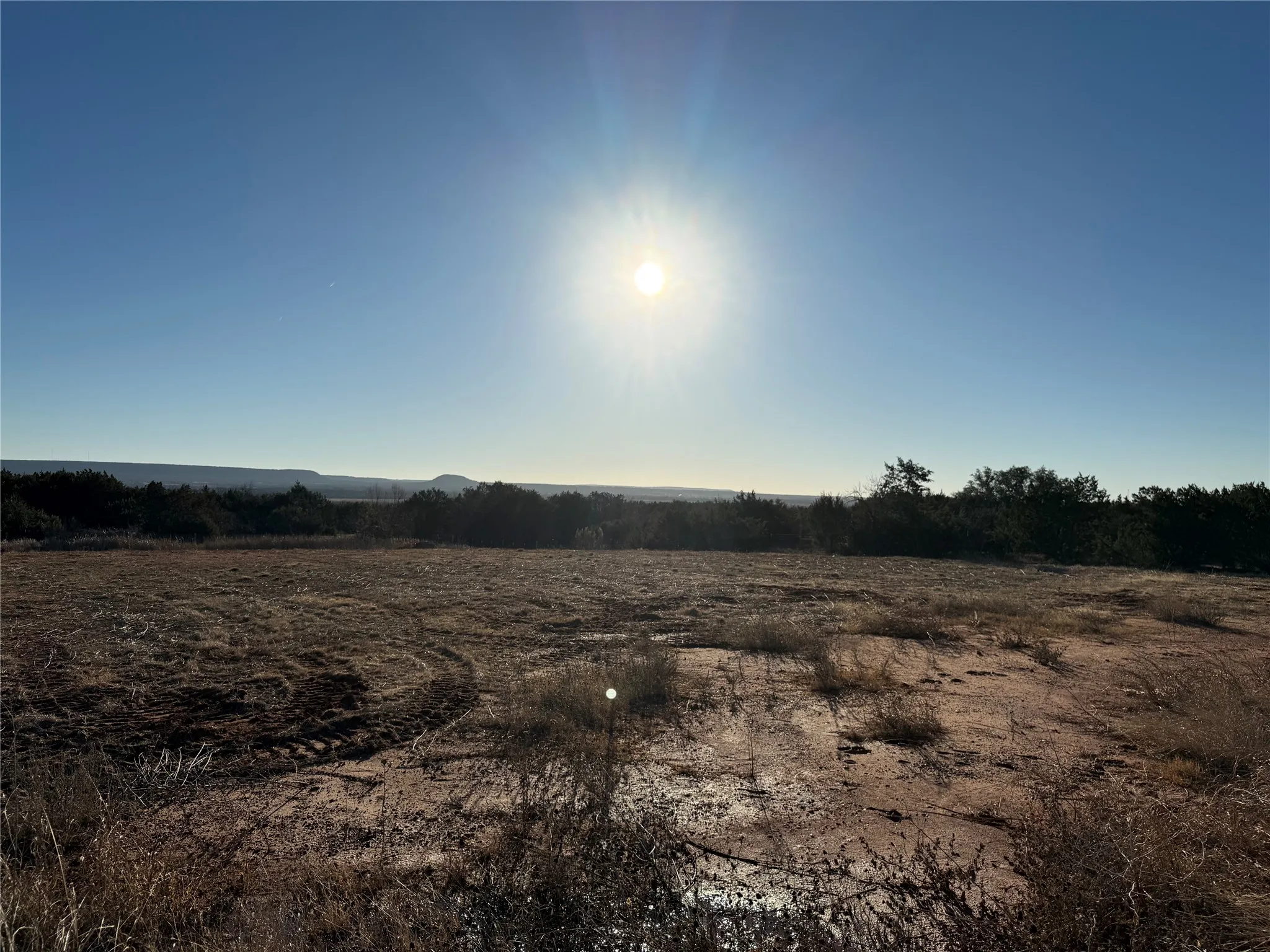 Unimproved Land For Sale in Taylor County , 157 Garrett, Tuscola, Texas 79562, 0, 0, Garage spaces, 0 Sqft, built in 0, mls#21333054, Real Estate Agent in Tuscola, Homes For Sale in Taylor county, Homes For Sale in Tuscola, Realtor in Tuscola Texas, Real Estate Brokerage Independent Realty Texas, Luminita Cordes Realtor