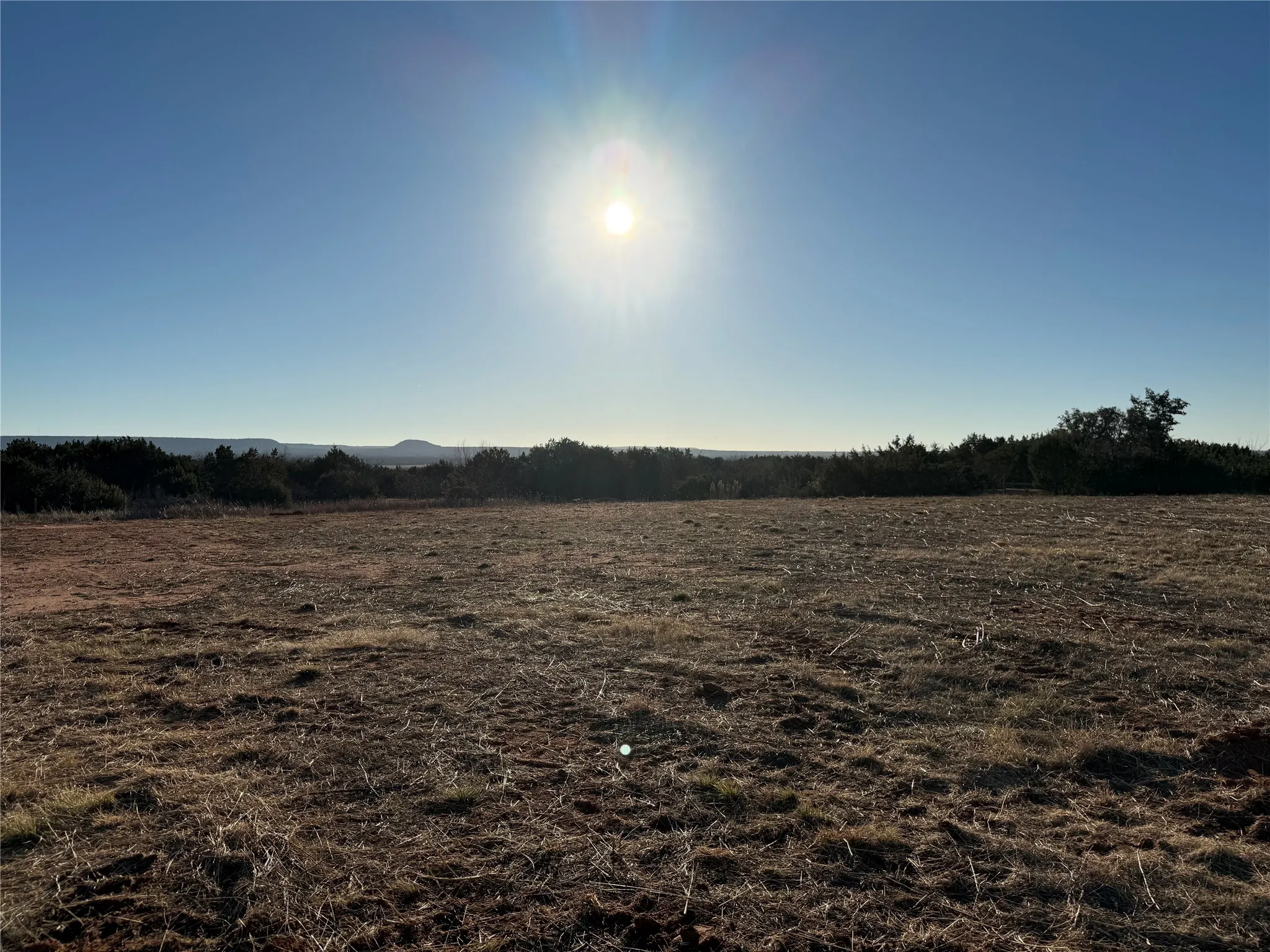 Unimproved Land For Sale in Taylor County , 157 Garrett, Tuscola, Texas 79562, 0, 0, Garage spaces, 0 Sqft, built in 0, mls#21333054, Real Estate Agent in Tuscola, Homes For Sale in Taylor county, Homes For Sale in Tuscola, Realtor in Tuscola Texas, Real Estate Brokerage Independent Realty Texas, Luminita Cordes Realtor