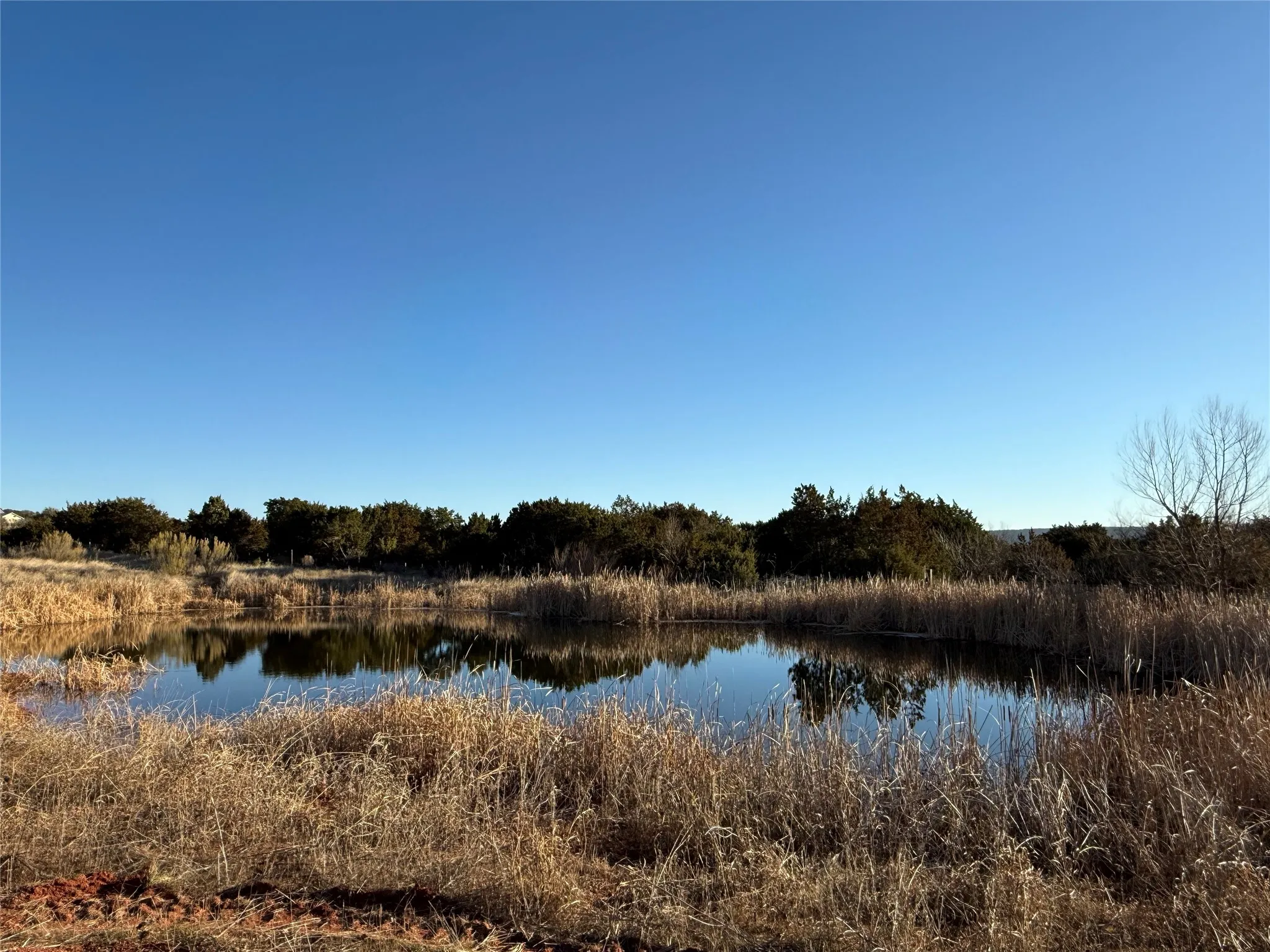 Unimproved Land For Sale in Taylor County , 157 Garrett, Tuscola, Texas 79562, 0, 0, Garage spaces, 0 Sqft, built in 0, mls#21333054, Real Estate Agent in Tuscola, Homes For Sale in Taylor county, Homes For Sale in Tuscola, Realtor in Tuscola Texas, Real Estate Brokerage Independent Realty Texas, Luminita Cordes Realtor