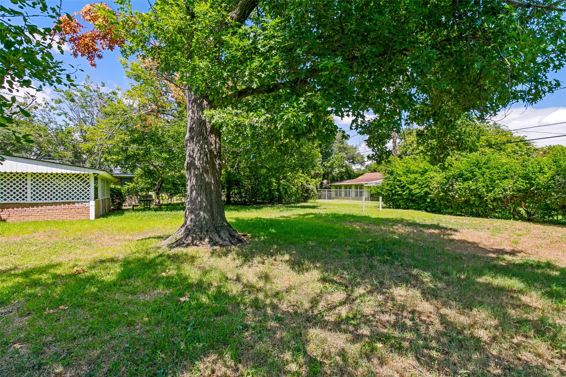 Expansive green space featuring mature trees and a manicured lawn