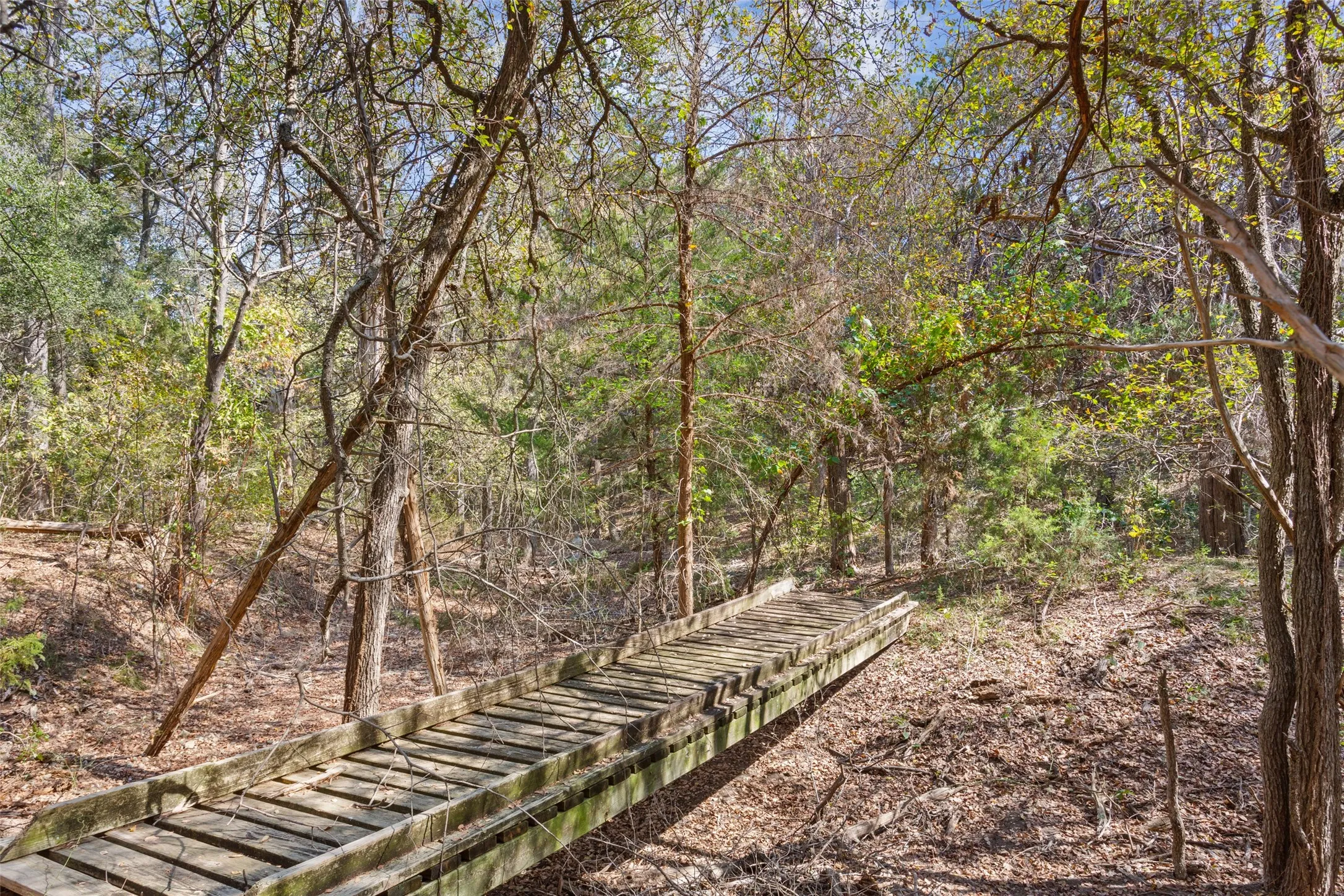 Wood plank walkway traversing a natural wooded area