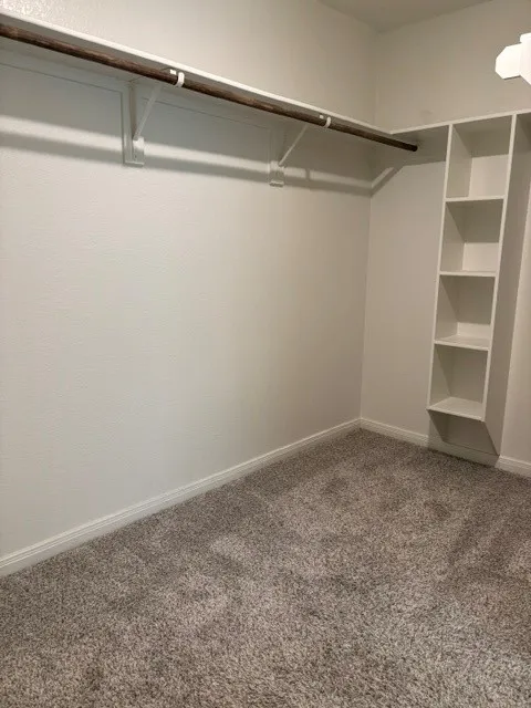 Primary walk in closet