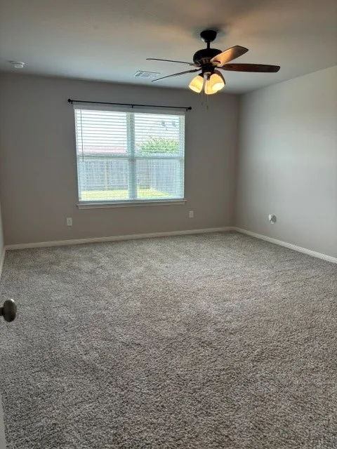 With blinds, ceiling fan and carpet