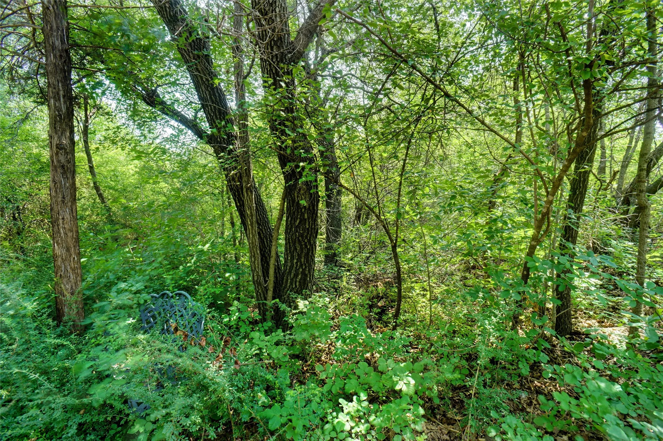 Unimproved Land For Sale in Tarrant County , 36.719 AC TBD Glory Road, Lakeside, Texas 76135, 0, 0, Garage spaces, 0 Sqft, built in 0, mls#21333533, Real Estate Agent in Lakeside, Homes For Sale in Tarrant county, Homes For Sale in Lakeside, Realtor in Lakeside Texas, Real Estate Brokerage Independent Realty Texas, Luminita Cordes Realtor