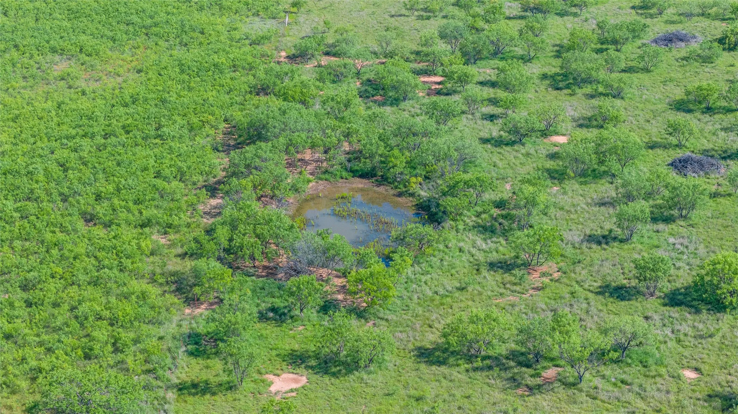 Unimproved Land For Sale in Callahan County , TBD Cr 250, Clyde, Texas 79510, 0, 0, Garage spaces, 0 Sqft, built in 0, mls#21333728, Real Estate Agent in Clyde, Homes For Sale in Callahan county, Homes For Sale in Clyde, Realtor in Clyde Texas, Real Estate Brokerage Independent Realty Texas, Luminita Cordes Realtor