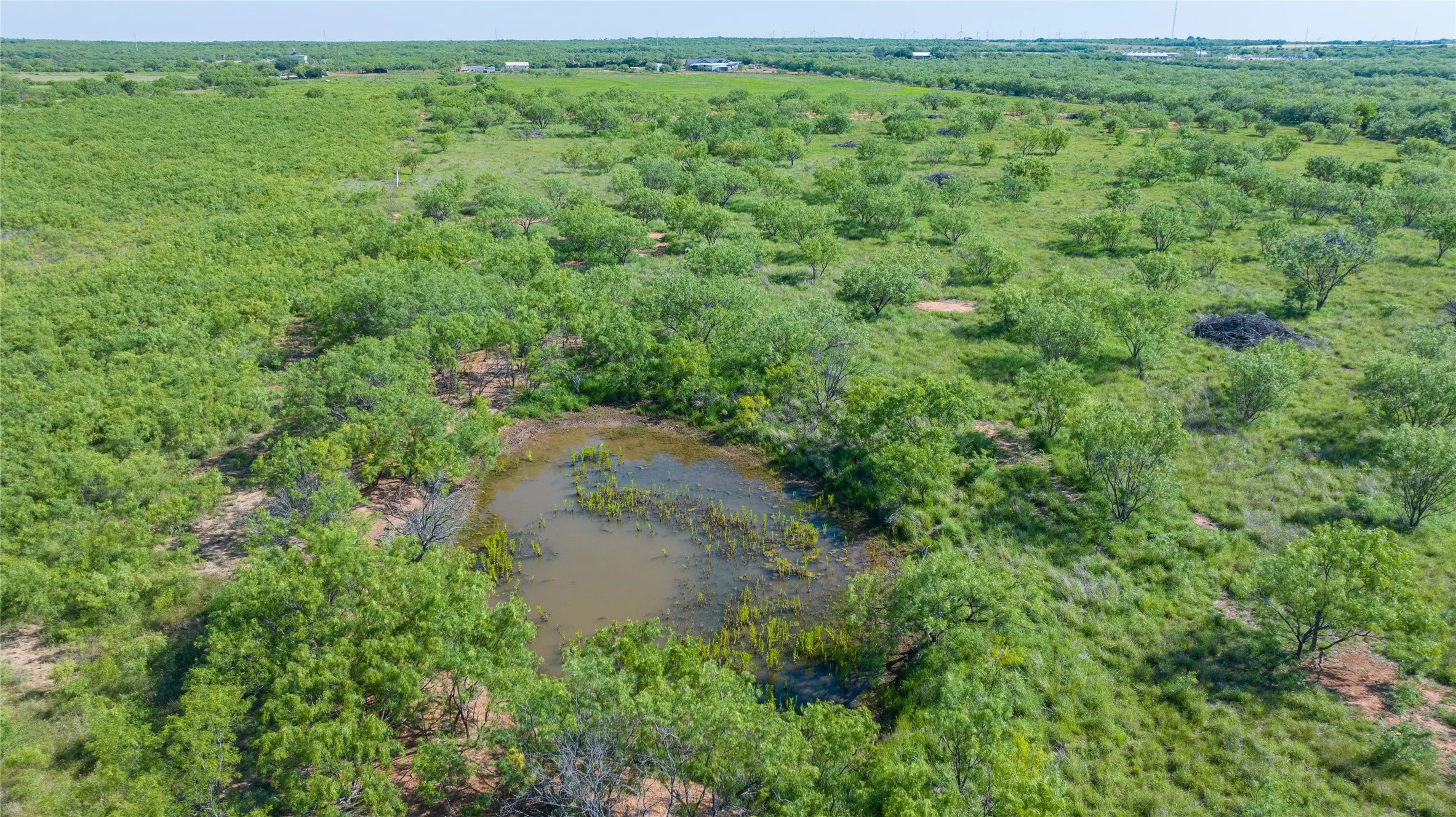 Unimproved Land For Sale in Callahan County , TBD Cr 250, Clyde, Texas 79510, 0, 0, Garage spaces, 0 Sqft, built in 0, mls#21333728, Real Estate Agent in Clyde, Homes For Sale in Callahan county, Homes For Sale in Clyde, Realtor in Clyde Texas, Real Estate Brokerage Independent Realty Texas, Luminita Cordes Realtor