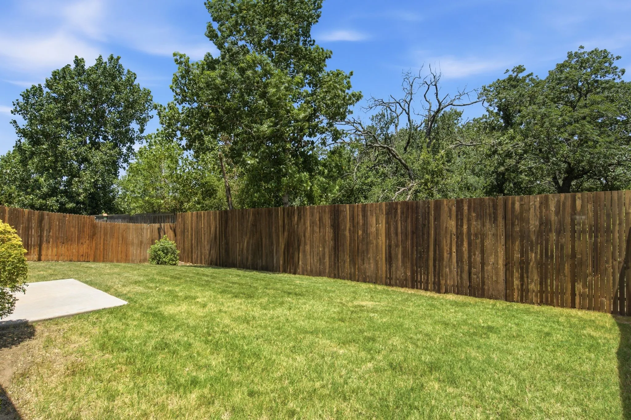 No neighbors behind the fence!