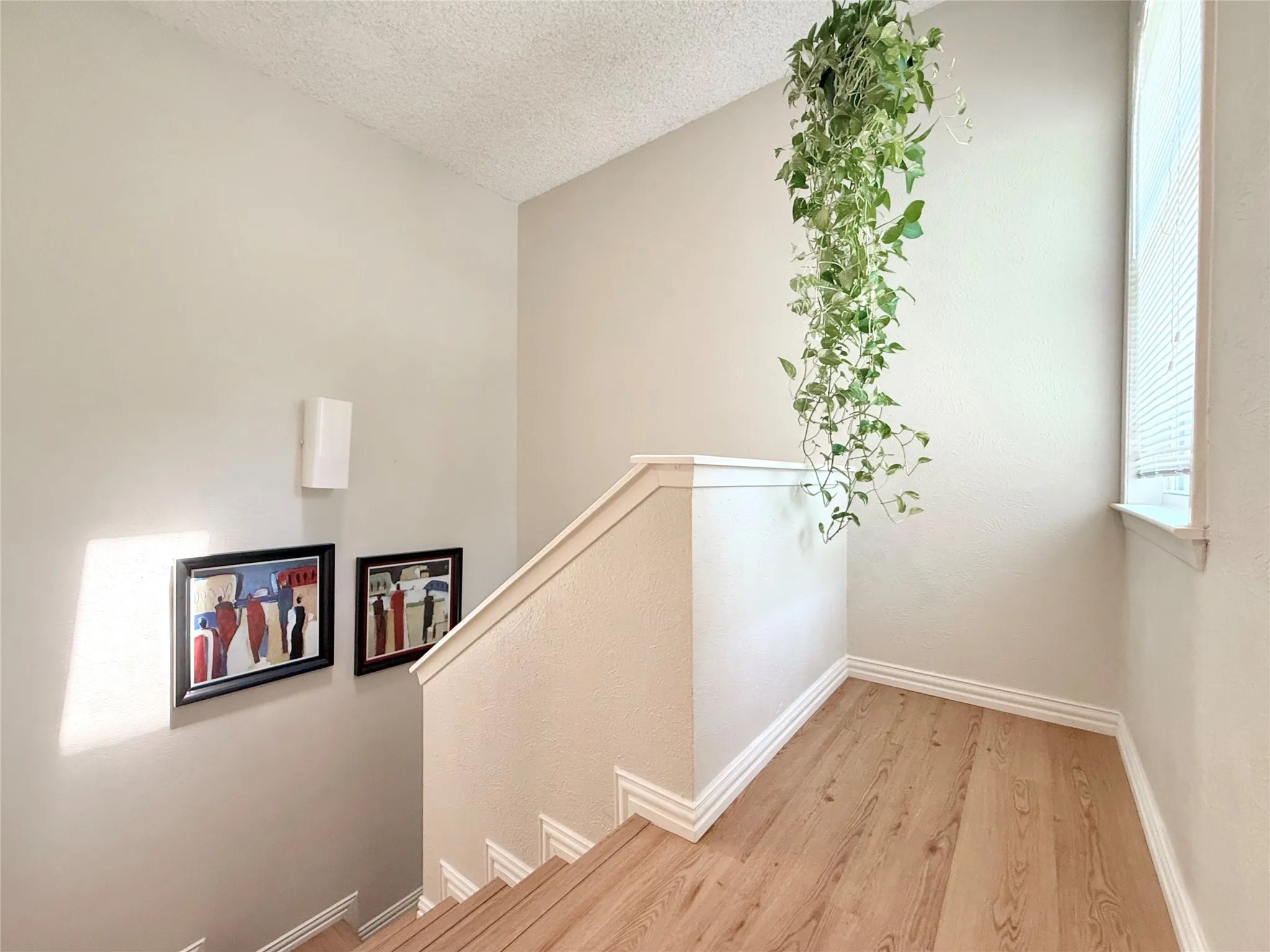 Laminate Flooring
