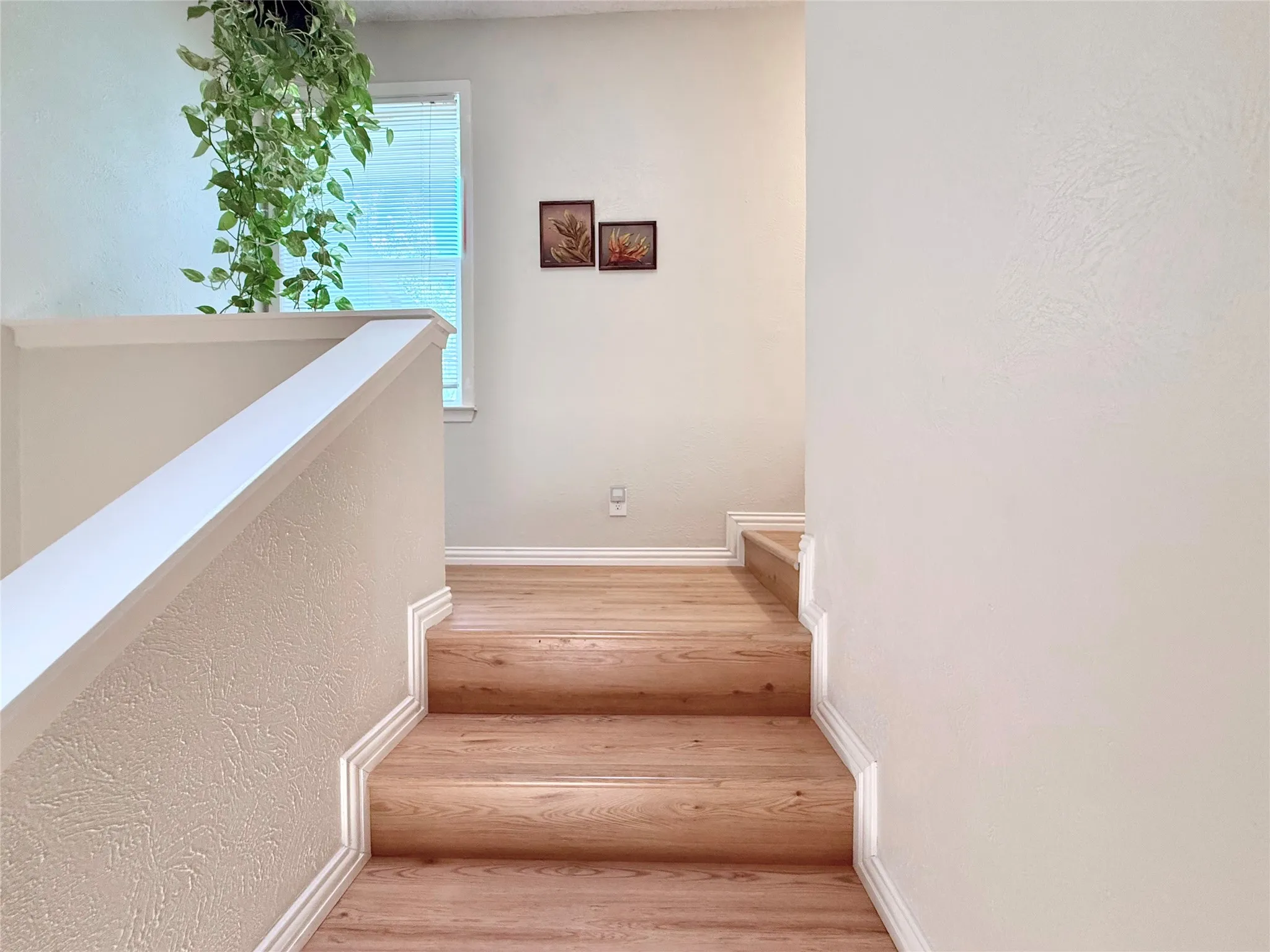 Laminate Flooring