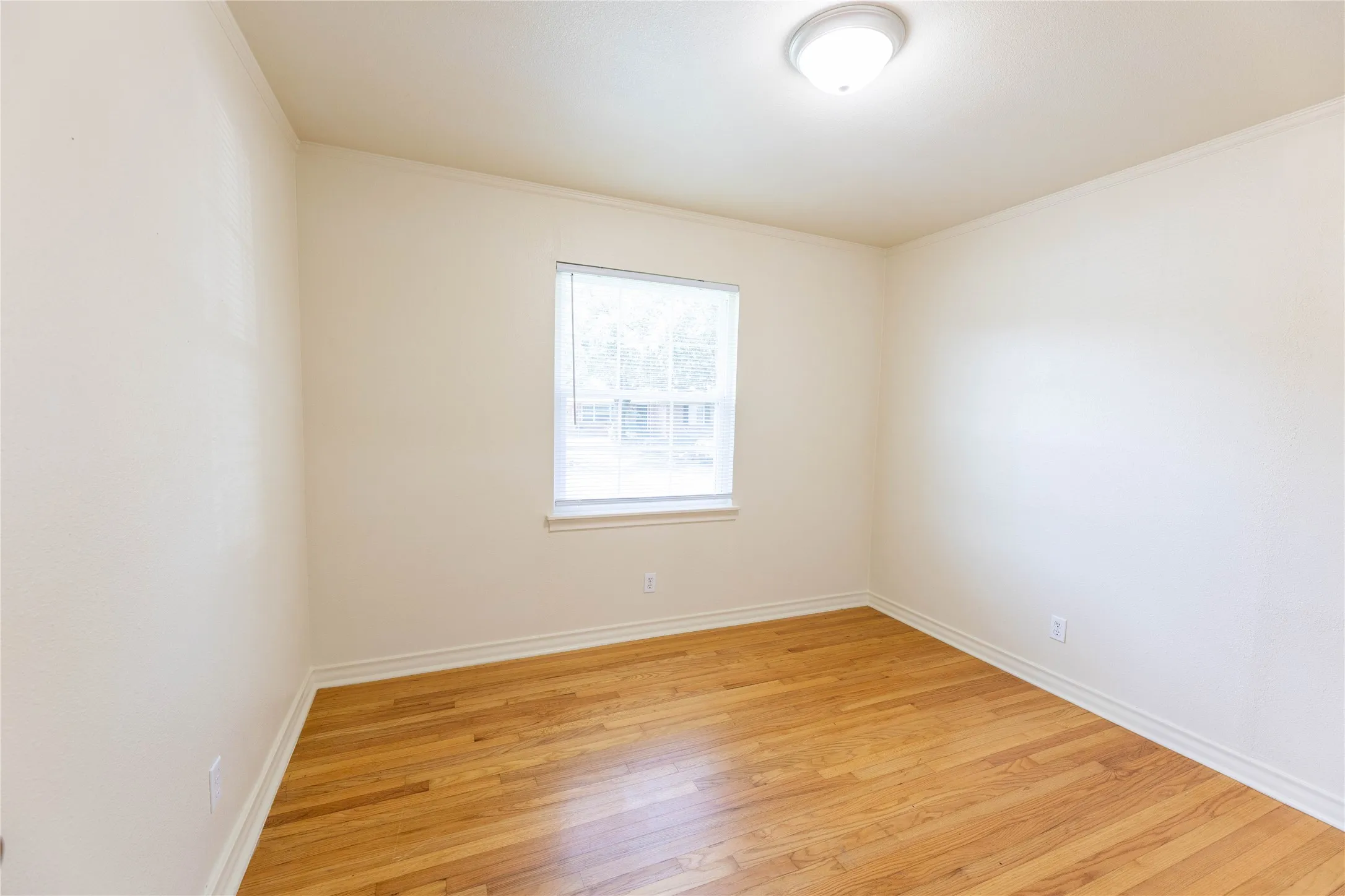 Single Family Residence For Rent in Dallas County , 2627 Tealford Drive, Dallas, Texas 75228, 3 Bedroom, 1 Bathroom, 1 Garage spaces, 1,307 Sqft, built in 1953, mls#21333759, Real Estate Agent in Dallas, Homes For Rent in Dallas county, Homes For Rent in Dallas, Realtor in Dallas Texas, Real Estate Brokerage Independent Realty Texas, Luminita Cordes Realtor